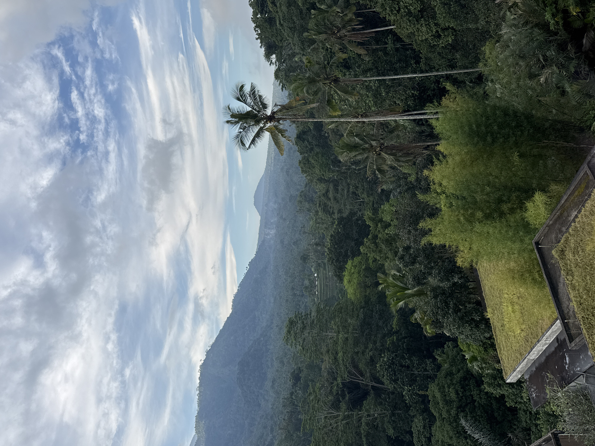 The image depicts a lush, tropical landscape with a prominent mountain range in the background. The foreground features the rooftops of buildings covered in green vegetation, suggesting a natural or eco-friendly design. A dense forest of various trees, including tall palm trees, stretches across the mid-ground, with some areas showing terraced patterns that could be rice paddies or agricultural fields. The sky above is a mix of blue with scattered white and gray clouds, indicating fair weather. The overall scene evokes a sense of tranquility and natural beauty characteristic of a tropical setting. The location is identified as Bebandem, Indonesia, a region known for its scenic beauty and agricultural landscapes.