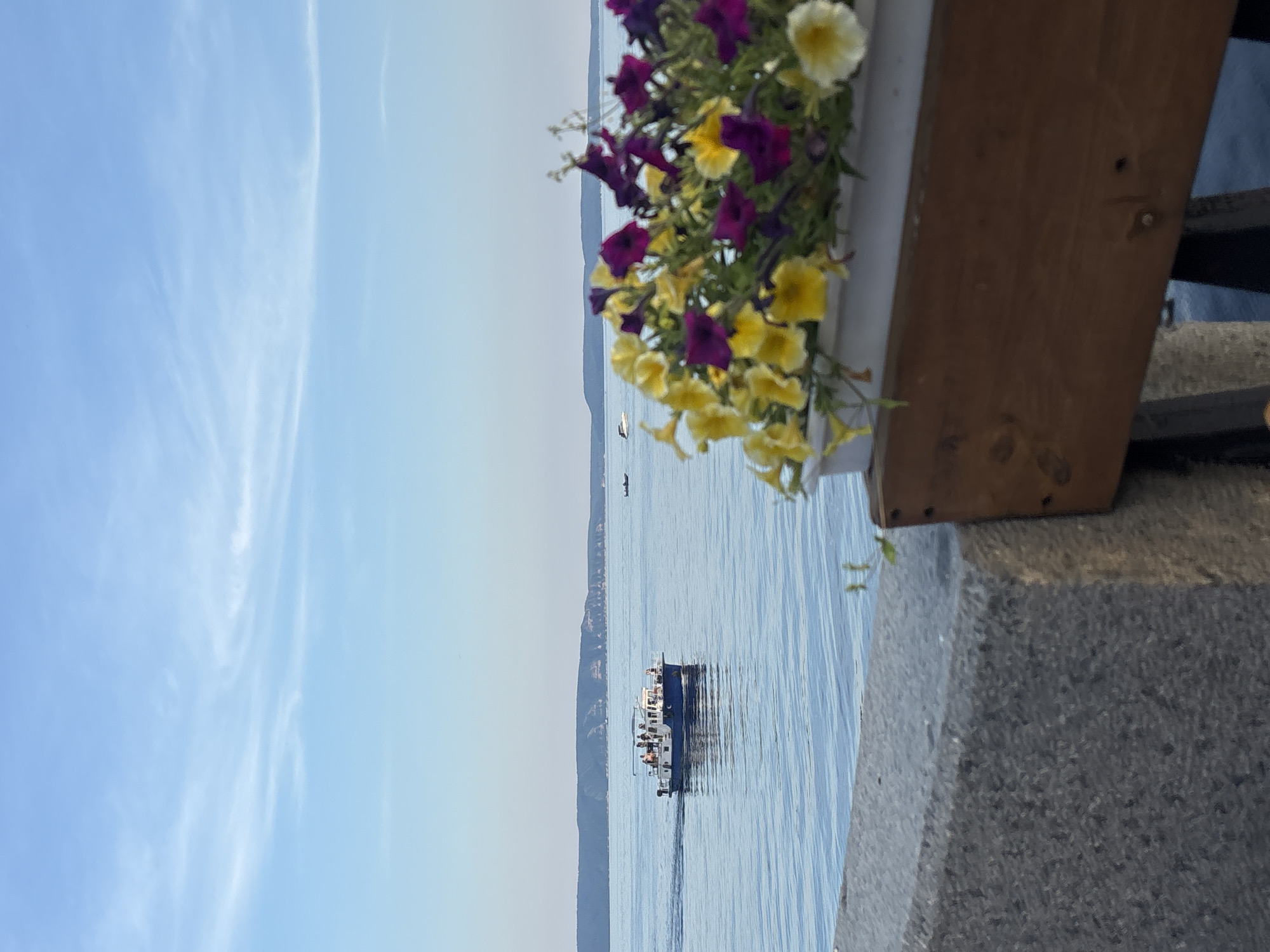 The image depicts a serene waterscape in Tolyatti, Russia, likely near the Volga River. In the foreground, a planter box filled with vibrant yellow and purple petunias sits on a wooden structure, partially obscuring a textured stone embankment. Beyond this, the calm, blue waters of a large body of water stretch towards a distant, tree-covered shoreline under a pale blue sky with wispy clouds. A small passenger boat, with several people visible on its deck, is moving across the water from left to right. In the distance, other smaller boats are also present. The scene conveys a peaceful, summery atmosphere.