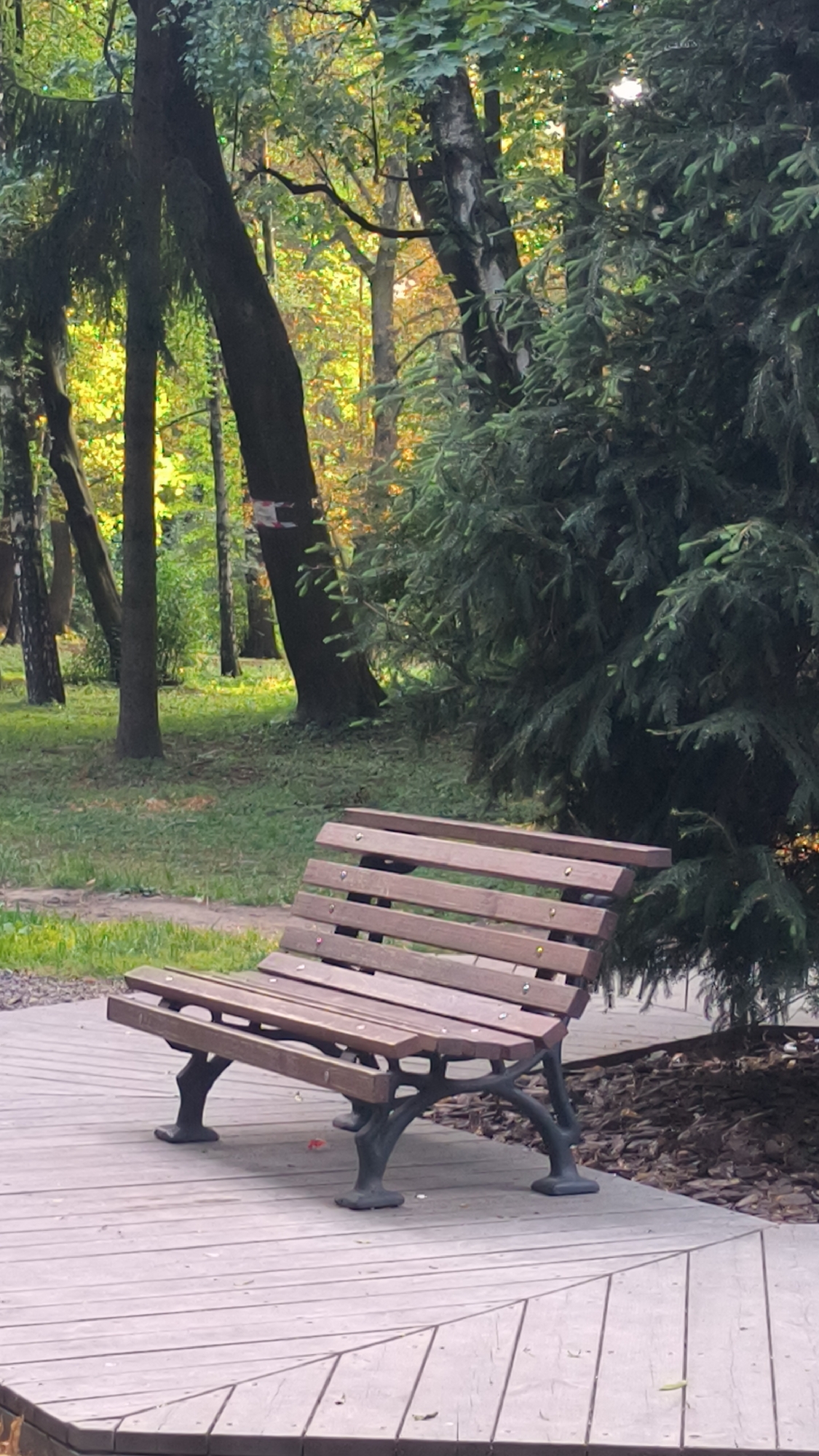 A wooden park bench with dark metal legs rests on a light-colored wooden deck. The bench is positioned in a park setting with trees and grass surrounding it. In the background, sunlight filters through the leaves of the trees, creating a dappled effect. The image does not provide specific information to determine the location within the city of Lviv, Ukraine, nor does it show any people or actions.