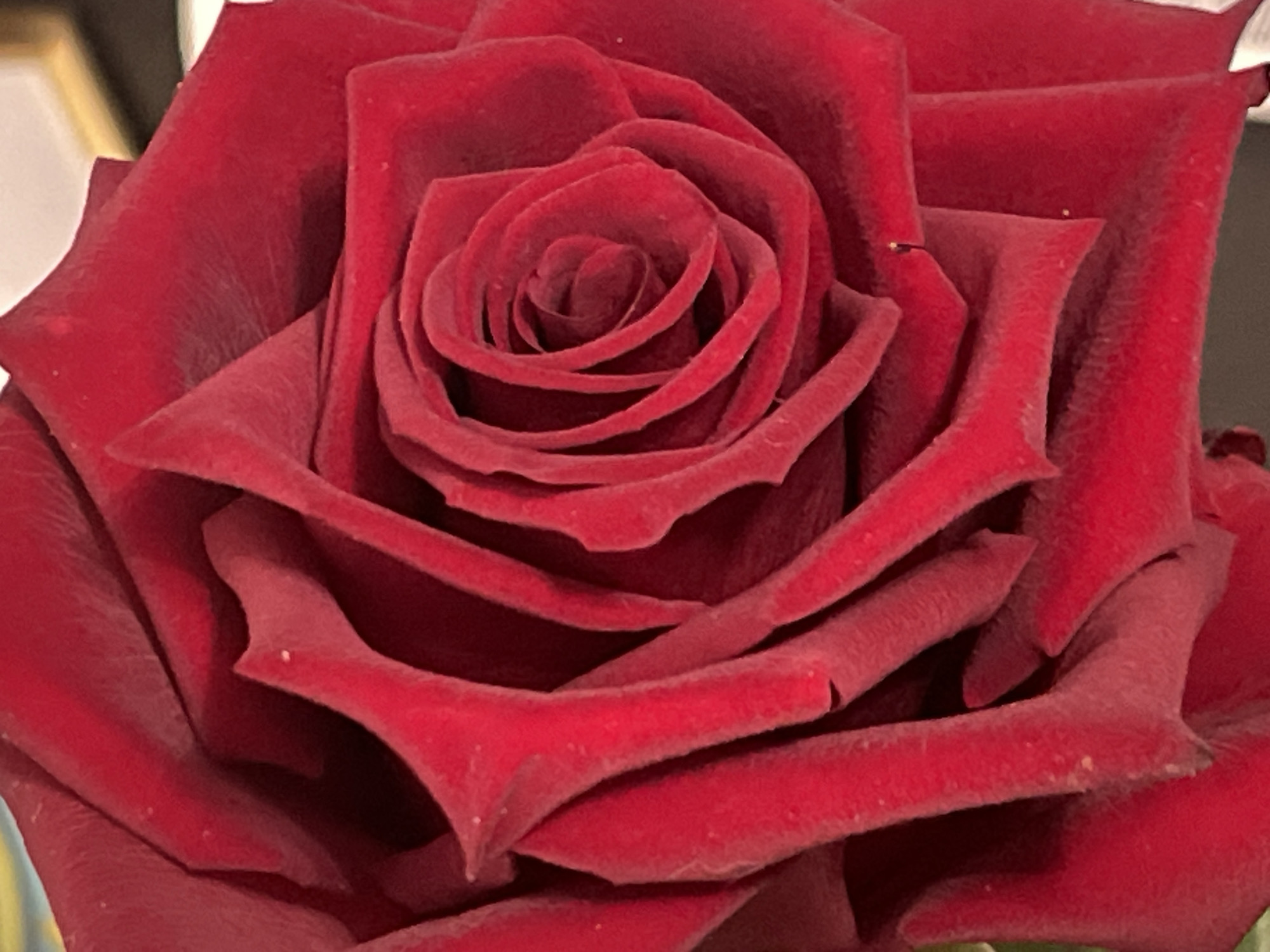 A close-up, high-angle shot captures the velvety texture and deep red color of a rose's petals. The petals are layered and curved, with the central part of the rose forming a tight spiral. Some petals have delicate lines and subtle variations in shade. The background is softly blurred, with hints of yellow and darker tones, suggesting an indoor setting with artificial lighting. The focus is entirely on the intricate details of the rose blossom.