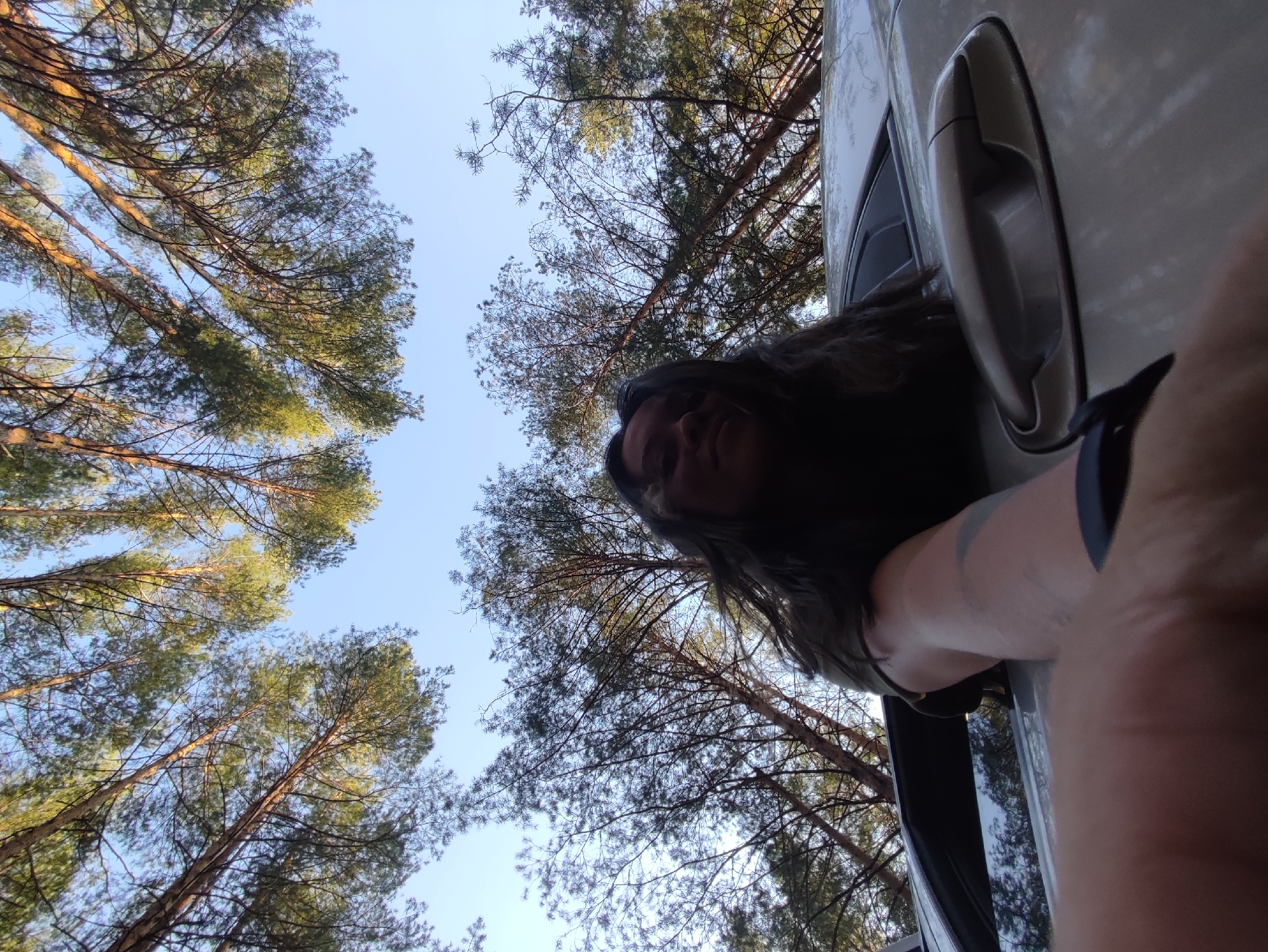 A low-angle shot captures a person leaning out of a car window, gazing upward. The surroundings consist of tall pine trees with their branches reaching towards a clear, blue sky. The person has long, dark hair and appears to be wearing a dark-colored shirt. The car is light-colored, with the door handle visible. The location is likely in a forested area near Chaikovsky, Russia, given the prevalence of pine trees in that region.