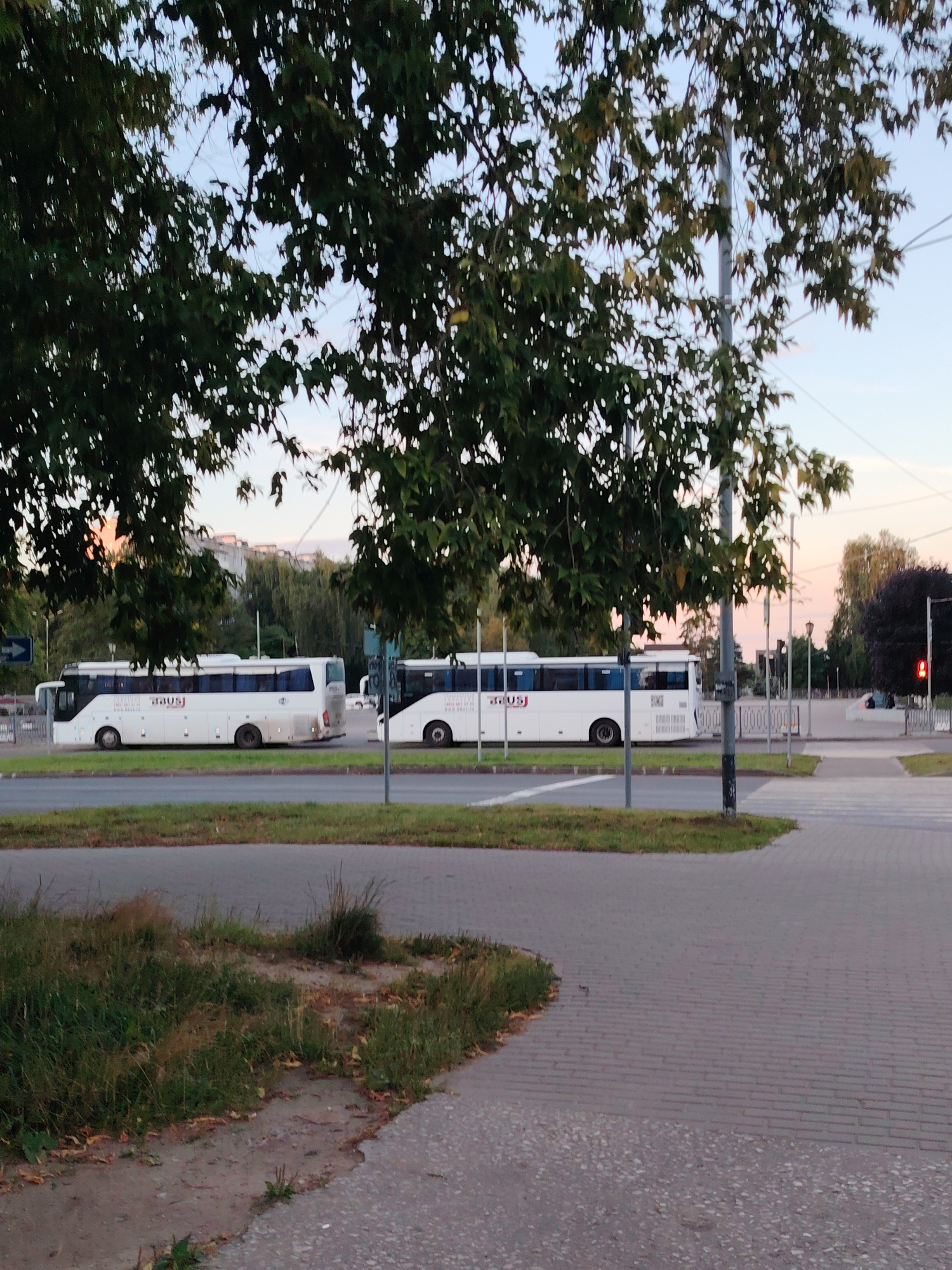 Two white passenger buses are parked side-by-side on a paved road in Konakovo, Russia. The buses are facing left and have tinted windows. The bus on the left has the text "BAUS" printed on its side. The background consists of trees, buildings, and a dusky sky. A traffic light with a red signal is visible to the right. The foreground shows a sidewalk with a grassy area.