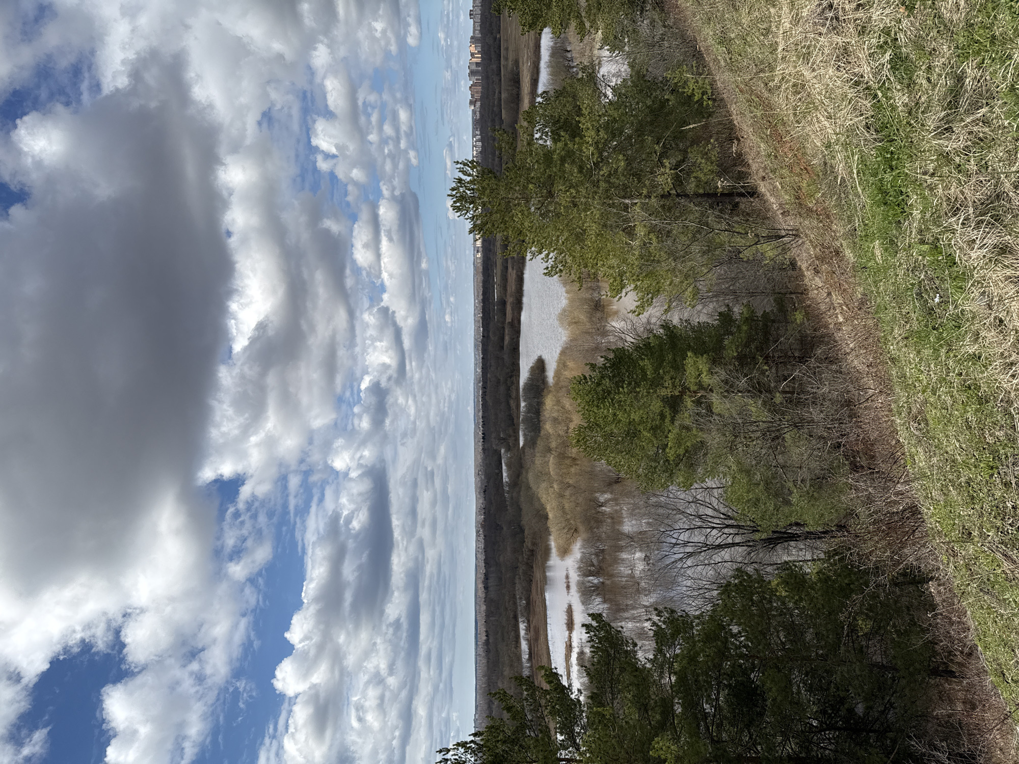 The image shows a view overlooking a landscape of trees, a body of water (possibly a river or lake), and a cloudy sky. The foreground features trees and vegetation growing on an embankment. Beyond the trees is a body of water, and across from the water is more vegetation, including trees. In the distance, there is a skyline of buildings, suggesting an urban area.
The location is likely Glazov, Russia, but this detail is not explicitly visible in the image itself. Therefore, that fact is only inferred from the prompt. The scene appears to be a natural setting on the outskirts of the city or within a park area. The picture captures an early spring or late autumn scene, judging by the mix of bare trees and some greenery. No people are visible in the image.