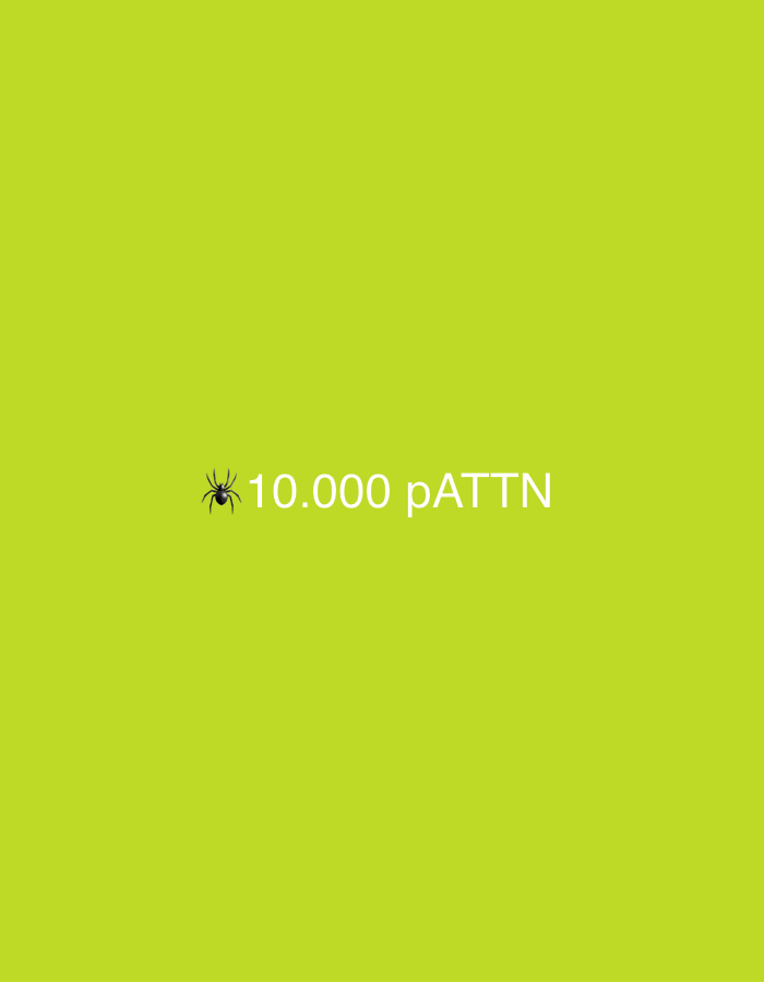 The image is a digitally created graphic with a lime green background. In the center, a small black spider icon is positioned to the left of white text that reads "10.000 pATTN". The text and icon are centered horizontally and vertically within the frame. The image does not depict any real-world location, including Vanadzor, Armenia, and contains no discernible people, objects, actions, or interactions. It appears to be a logo or a piece of digital art.
