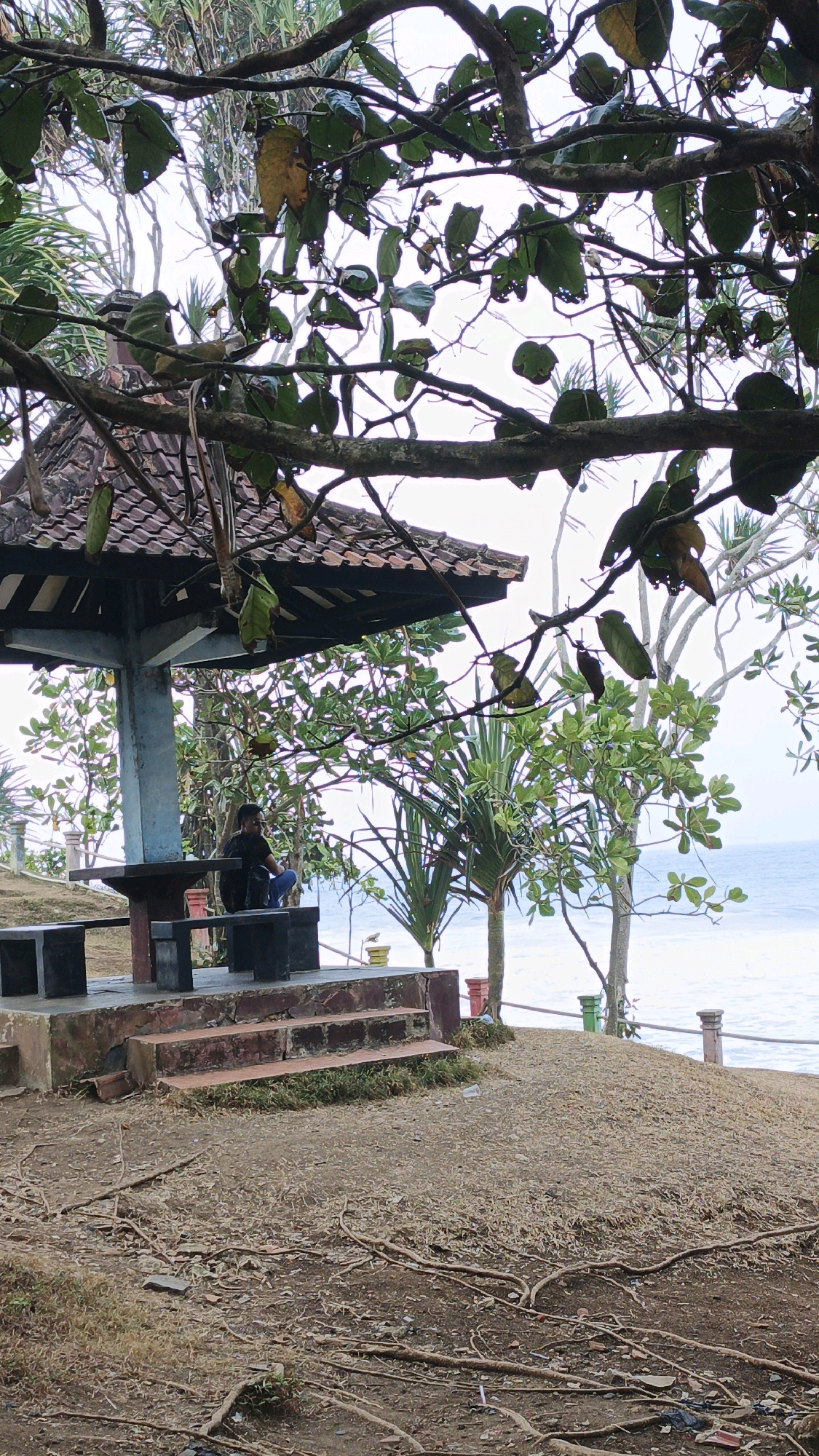 An outdoor gazebo with a tiled roof is situated on a slight incline overlooking the ocean. The gazebo has a concrete base and two dark, rectangular benches and a table. A person wearing a dark shirt and blue jeans is seated on one of the benches, facing away from the viewer and towards the sea. In the foreground, the ground is covered in dry leaves, twigs, and exposed roots. Trees with green leaves partially obscure the view of the gazebo and the ocean. The sky is overcast. The location is Desa Ciliang, Indonesia.