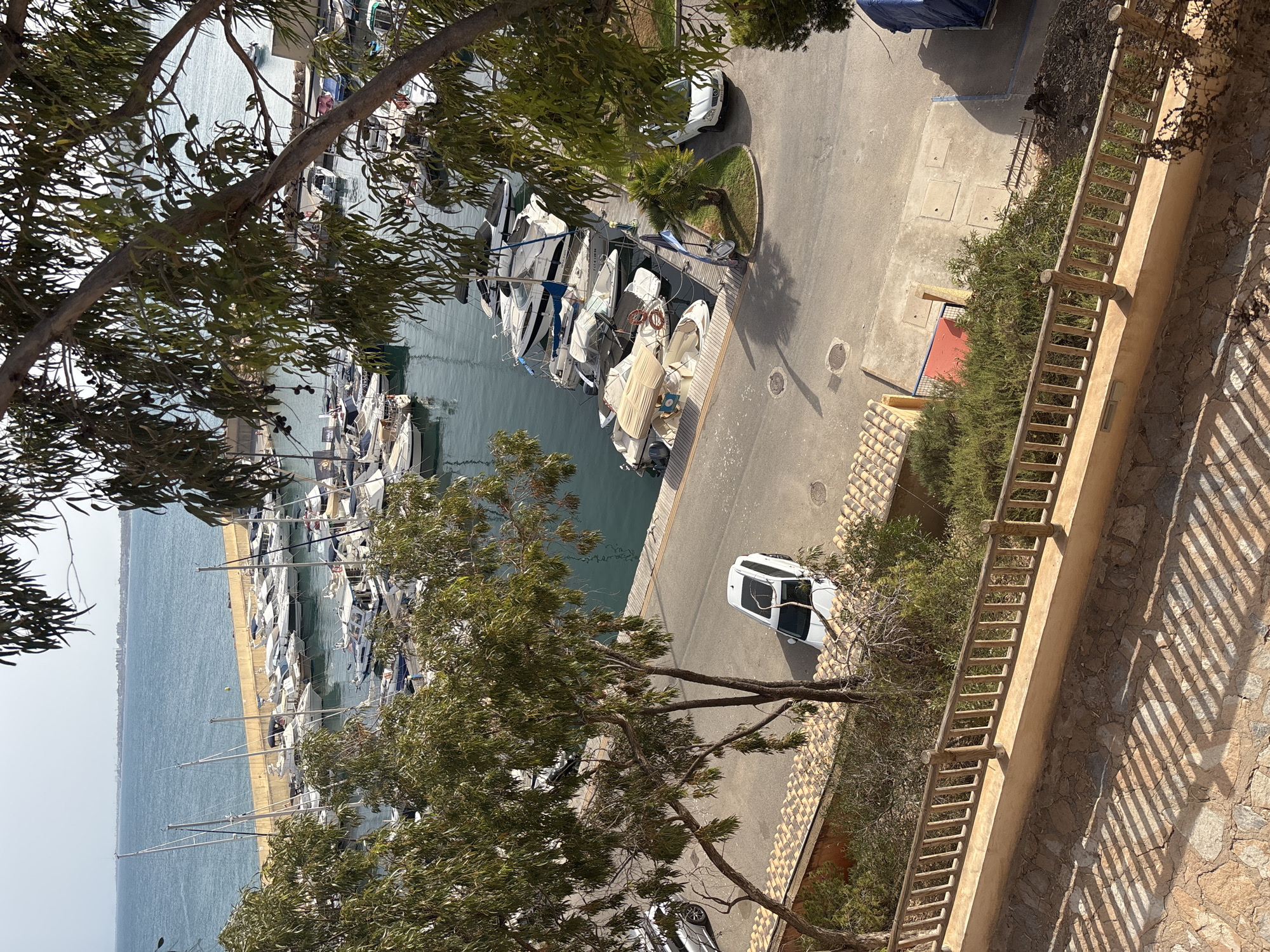 The image captures a sun-drenched view of a marina in Urbanización Cabo Roig, Spain. Numerous boats, predominantly white motorboats and sailboats, are docked and moored in the calm, blue water. The marina is lined with a concrete seawall in the background, beyond which the hazy outline of a distant coastline and city can be seen. In the foreground, a paved road runs alongside the marina. A white SUV is parked on the right side of the road, and another white SUV is seen on the left, further down the road. Green trees with slender trunks and abundant foliage frame the scene, casting dappled shadows on the road and a stone-tiled walkway in the lower portion of the image. A wooden railing borders the walkway, separating it from the marina area. The overall impression is one of a peaceful, seaside locale.