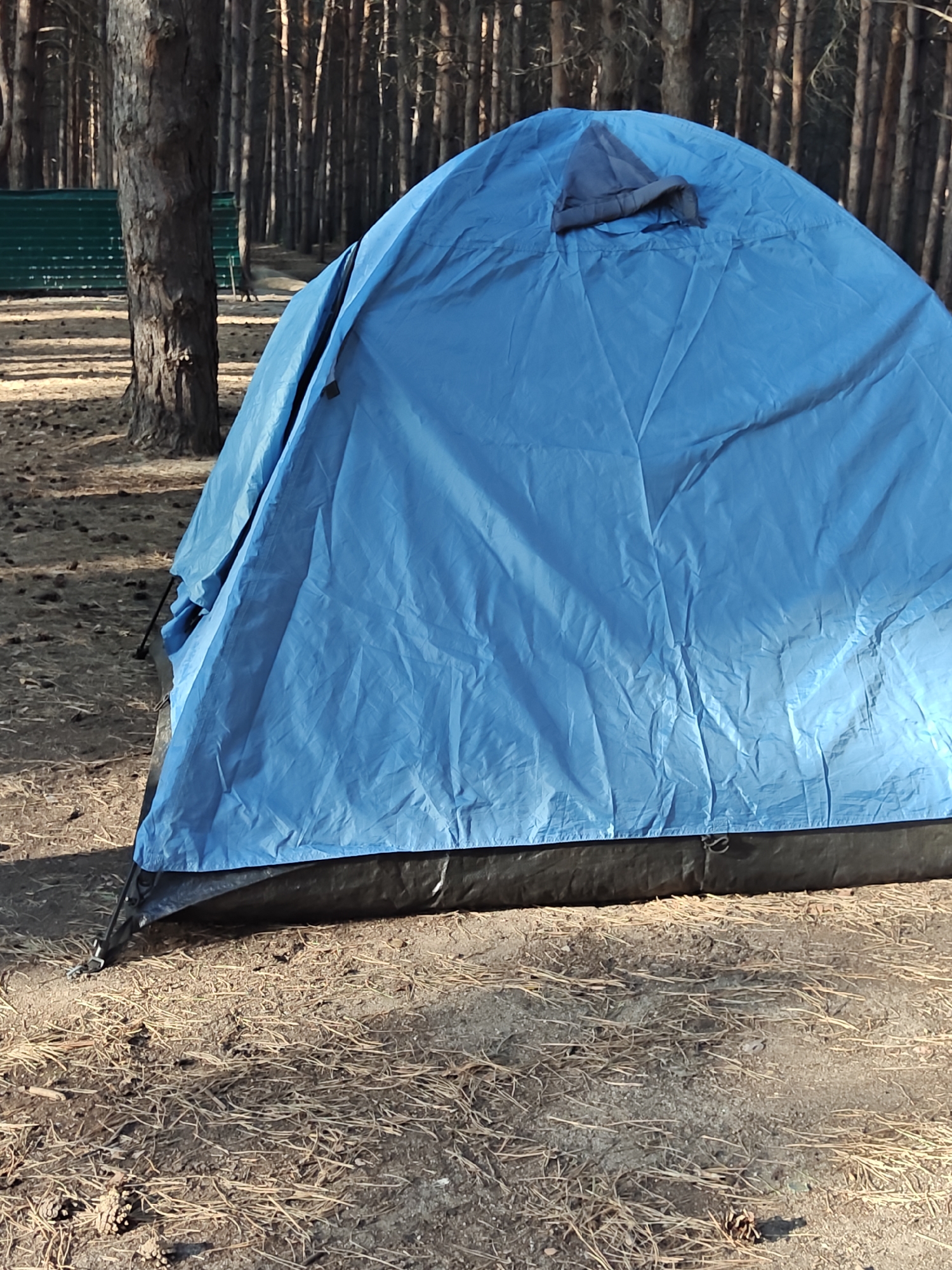 The image displays a blue tent pitched on the ground in a forested area. The ground is covered with pine needles and dirt. In the background, there are numerous tall pine trees and a glimpse of a green structure, possibly a building or fence. The tent is the primary subject, filling a significant portion of the frame. The overall scene suggests a campsite within a natural environment. The location is identified as Korneev Rural District, Kazakhstan.