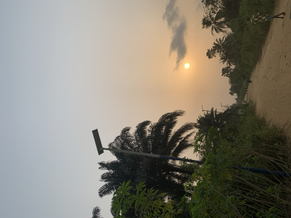 The scene depicts a rural unpaved dirt road in Ikot Ete Ekpo, Nigeria, observed during a sunset or sunrise event. The sky graduates from a pale blue-grey at the top to an orange-yellow hue near the horizon. The sun, a distinct orange orb, is low in the sky, positioned slightly right of center, with several scattered dark grey clouds to its right.
The wide, light brown dirt road extends from the foreground into the distance, showing visible tracks. It is bordered on both sides by dense tropical vegetation, primarily consisting of tall palm trees with dark green fronds and thick green undergrowth. In the foreground on the left, leafy green plants, consistent with cassava, are present.
A prominent solar streetlight stands in the left mid-ground, featuring a tall pole with blue and grey segments, topped by a horizontal rectangular solar panel and a light fixture. Several similar, smaller solar streetlights are visible further down the road on both the left and right sides.
On the right side of the road in the foreground, a single male individual is walking away from the viewer, attired in a light-colored, patterned short-sleeved shirt and shorts. Further down the road, multiple smaller, indistinct human figures are also observed walking. No vehicles or complex interactions are discernible.