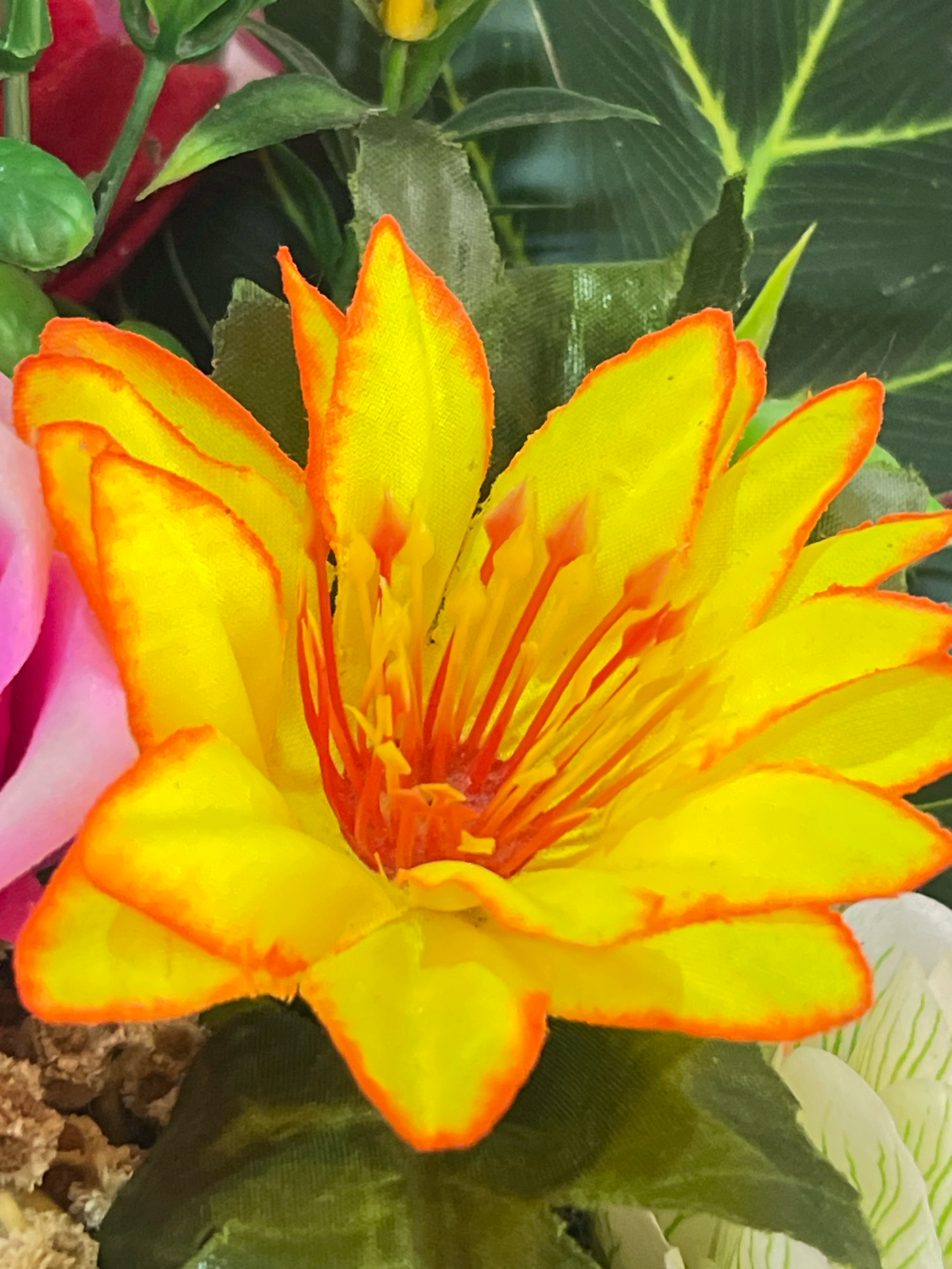 A close-up, eye-level shot captures a bright yellow lotus flower with an orange-red trim along its petals. The flower is in full bloom, showcasing its intricate stamens and pistils in vivid orange hues. To the left, a hint of a pink flower is visible. The background is filled with dark green foliage, including a large, veined leaf. This image was likely taken in Denpasar, Indonesia, a city known for its lush botanical gardens and vibrant floral displays, common in temples and homes throughout the region. The lighting suggests a bright, natural setting, possibly outdoors or in a well-lit indoor space, enhancing the rich colors of the flora. No people or specific actions are depicted.
