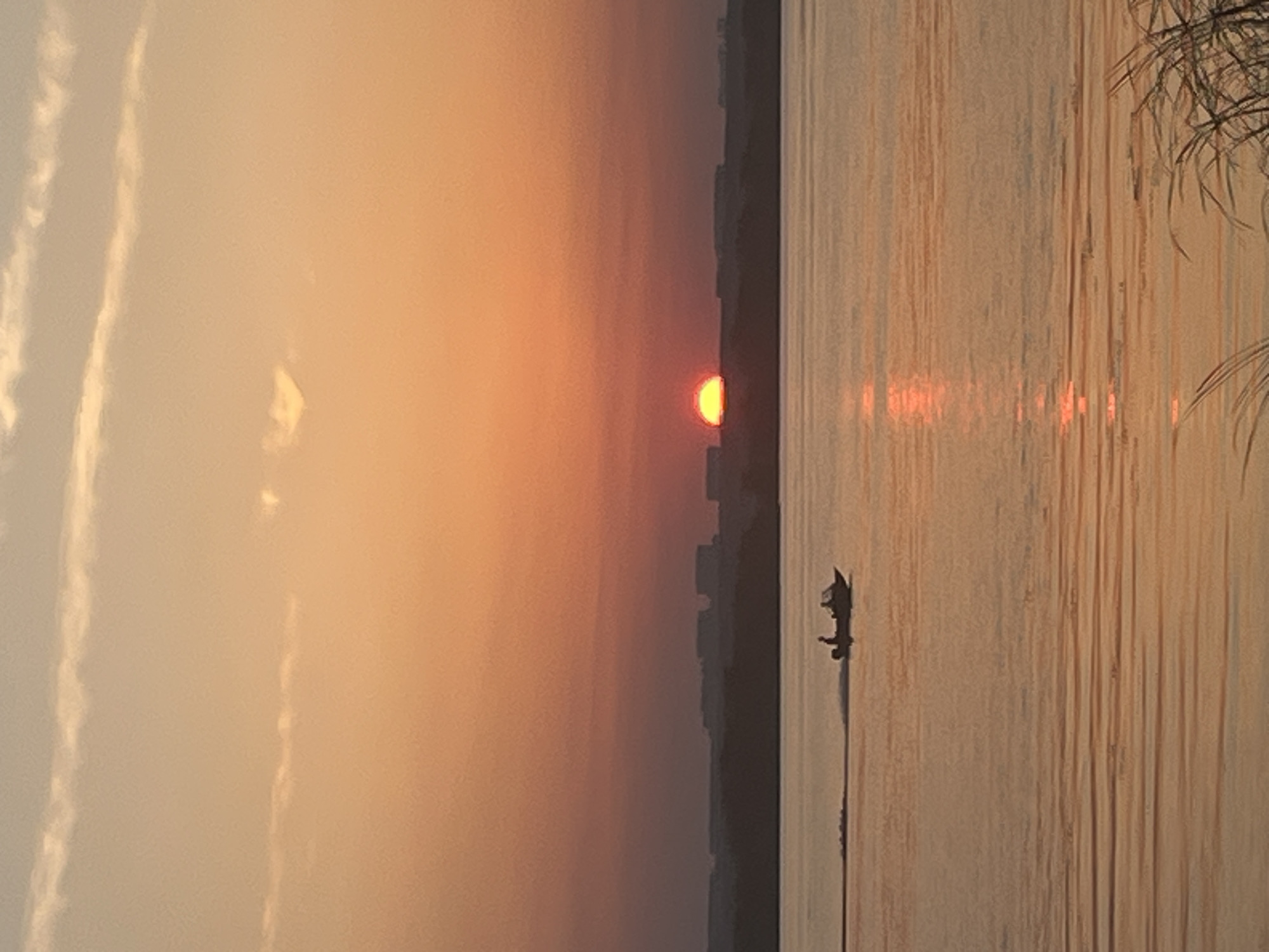 The image depicts a serene sunset over the Klyazma Reservoir in Shumeika, Russia. The sun, a vibrant semi-circle of orange, is setting on the horizon, casting a warm glow across the sky and water. The sky transitions from a pale yellow at the top to a deep orange and pink near the horizon, with subtle wisps of clouds. Below the sky, a dark, silhouetted landmass stretches across the frame, dotted with indistinct structures that suggest the presence of buildings or a town. The water surface of the reservoir is calm, reflecting the colors of the sunset and creating gentle ripples. A small motorboat, carrying two silhouetted figures, is moving from left to right across the water, leaving a faint wake. In the foreground, dry reeds or grass are visible on the right side, adding a natural element to the scene. The overall impression is one of tranquility and natural beauty at the end of the day.