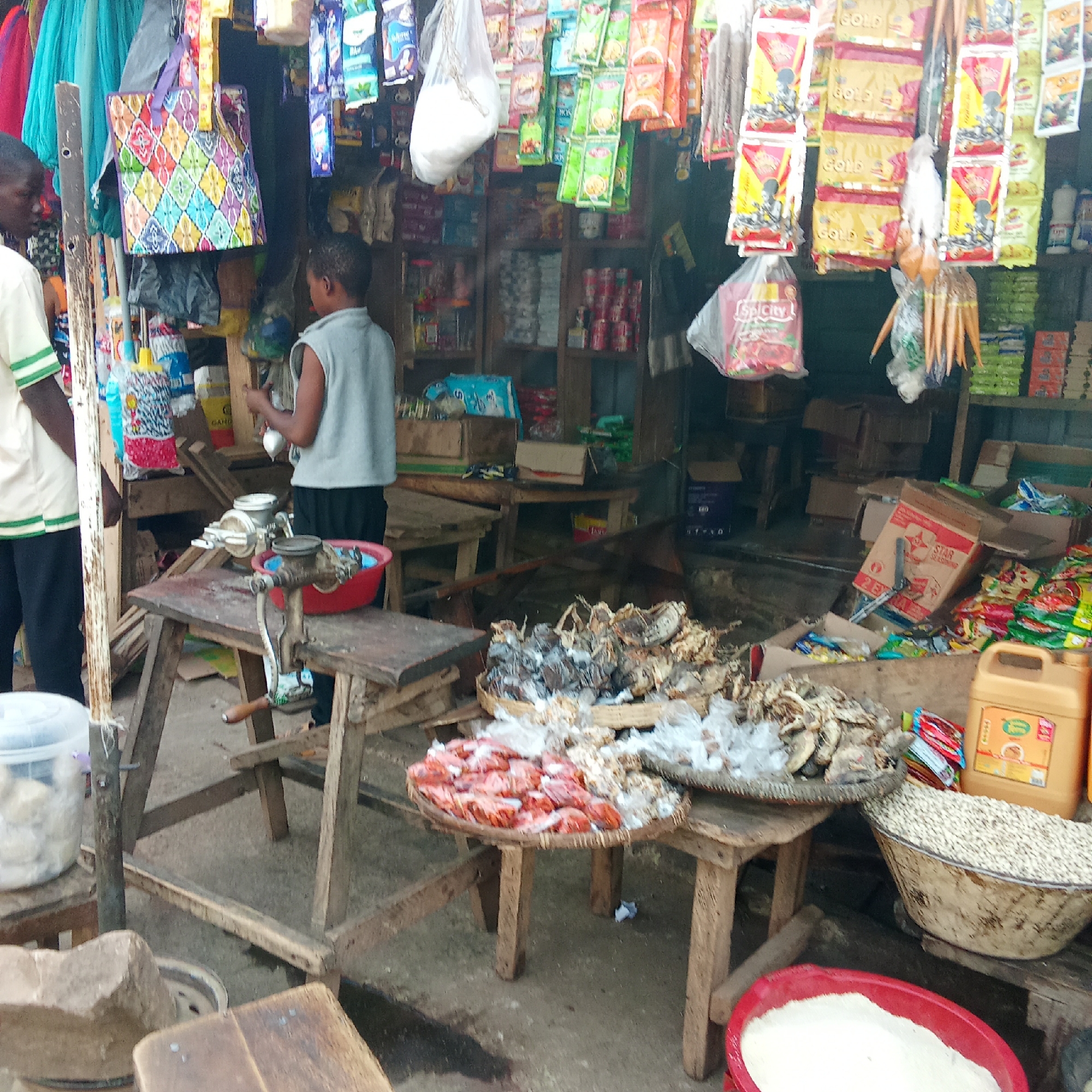 This image depicts a bustling market stall or small shop in Akwanga, Nigeria, during daylight hours. The scene is rich with various goods and activity.
Two males are visible in the foreground. On the left, a man wearing a light-colored shirt with green stripes on the sleeves and dark trousers stands near a wooden pole. On the right, a younger male, possibly a boy, dressed in a grey sleeveless top and dark trousers, is operating a hand-cranked grinding machine positioned on a wooden table. He appears to be feeding an item, perhaps a corn cob, into the grinder. Another similar grinder rests in a red basin nearby.
The stall is densely packed with merchandise, indicative of a local market. Overhead, numerous small packets of spices and seasonings hang for sale, with visible text "GOLD" on some yellow packets and "SPICITY" on a clear plastic bag containing reddish items. A cardboard box labeled "STAR SEASONING" is also discernible in the background.
On the wooden tables and stools in the foreground, a variety of food items are displayed. Two large, round woven baskets hold dried seafood, including what appears to be dried fish and crabs. Another large woven basket on the ground is filled with light-colored grains or beans. A red plastic basin contains a white powdered substance, likely flour or starch. A yellow jerrycan, possibly containing cooking oil, is also present. A vibrant, diamond-patterned fabric bag hangs prominently near the front of the stall. The setting conveys the lively atmosphere of a traditional local marketplace.