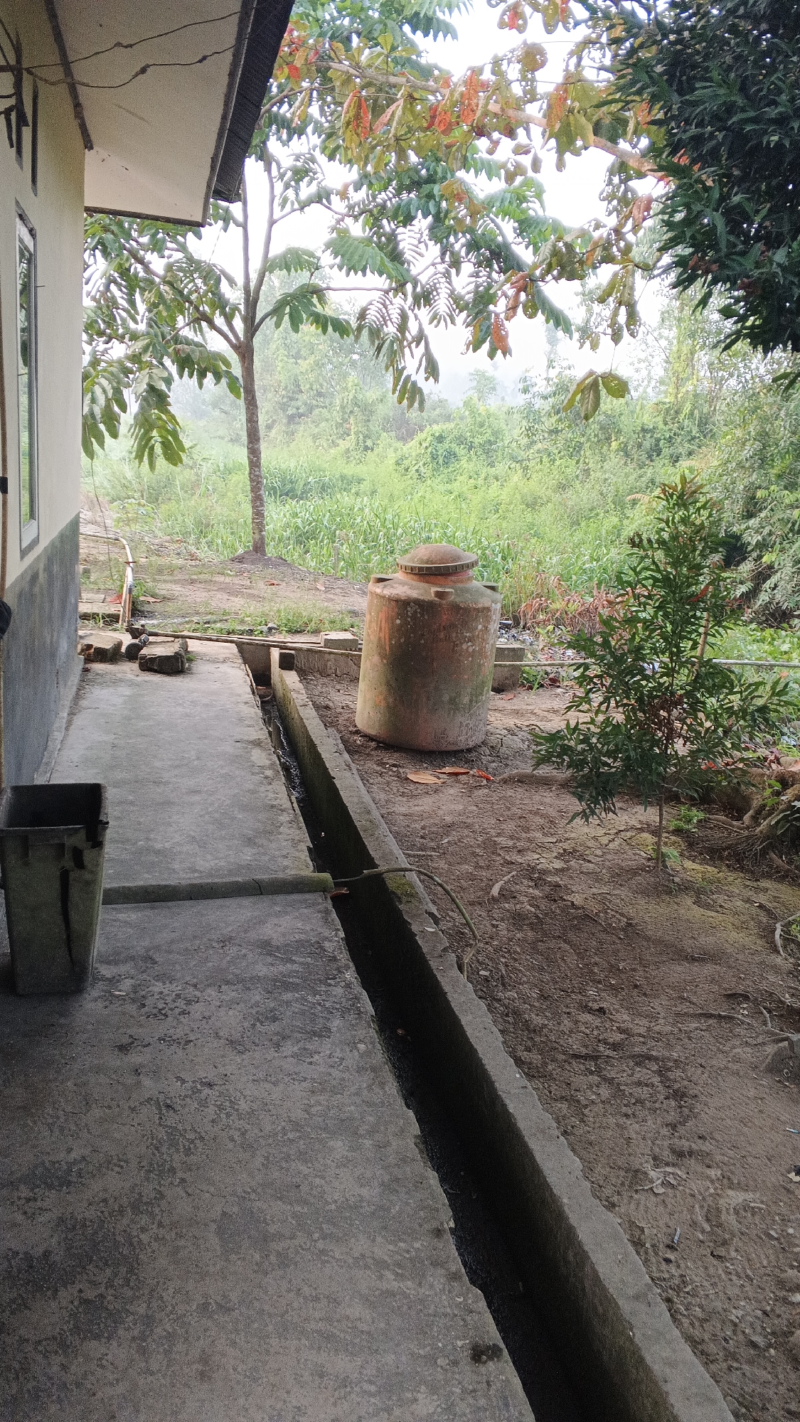 The image depicts an outdoor scene in Merempan Hulu, Indonesia, likely on a cloudy day. In the foreground, a concrete walkway runs along the side of a light-colored building, partially visible on the left. Adjacent to the walkway is a narrow concrete drainage channel. To the right of the walkway and drainage channel, the ground is dirt and soil, with some scattered leaves. A large, weathered, orange water tank stands in the middle ground, its surface speckled with age and possibly algae. A small, leafy green tree is positioned to the right of the water tank. In the background, dense green vegetation, including what appears to be tall grass or crops, stretches across the landscape. Trees with green and reddish-brown leaves are visible further back, interspersed with lighter foliage against a hazy sky. The scene suggests a rural or semi-rural setting.