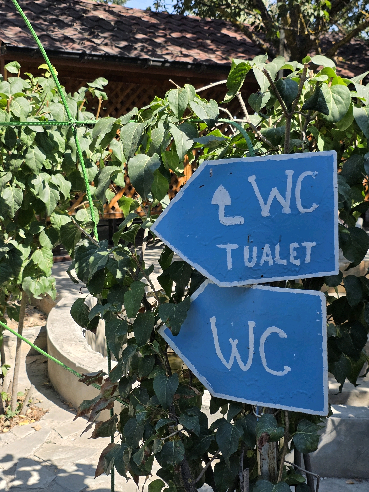 The image shows two blue directional signs with white lettering, indicating the location of toilets (WC). The signs are mounted on stakes and are partially obscured by green foliage. The top sign points to the left and reads "WC TUALET". The bottom sign also points to the left and reads "WC". The signs are weathered and appear to be handmade. In the background, there is a building with a tiled roof and a wooden structure. The ground is paved with stone. The setting appears to be outdoors, possibly in a park or a rural area. The image is taken in Qobustan, Azerbaijan.
