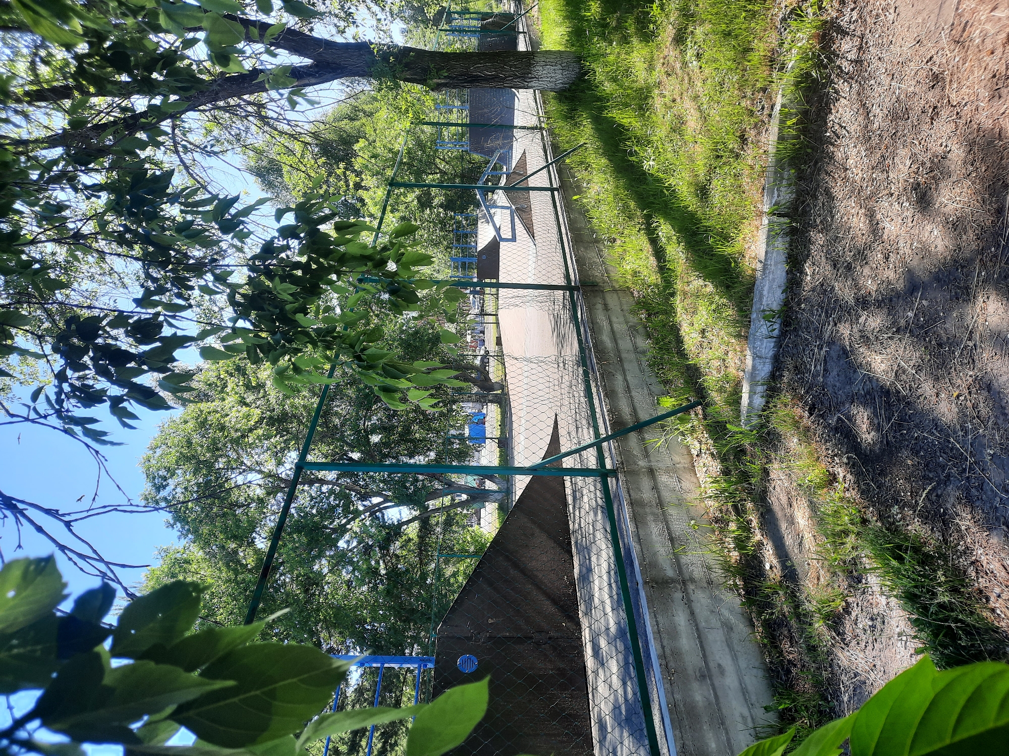 The image shows an outdoor skatepark located in the city of Zelenogorsky, Russia. The skatepark features various ramps and structures made of concrete and metal, enclosed by a green chain-link fence. The ground inside the park is a smooth concrete surface, and the area surrounding it is covered with grass and dirt, with some trees providing shade. The sky is clear and blue. There are no people visible in the image. The overall scene depicts a typical sunny day in a public recreational area.