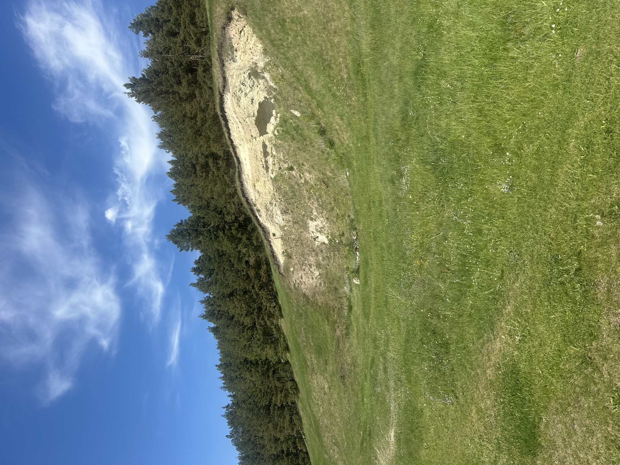 The image shows a view in Karnachivka, Ukraine, depicting a landscape with a blue sky, cirrus clouds, a stand of evergreen trees, a sandy area, and a grassy field. The sky is a clear blue with scattered, wispy cirrus clouds. A line of tall evergreen trees borders the sandy area and the grassy field. A sandy area sits between the trees and the field. The grassy field covers a large portion of the image. There are no people visible in the image, and no explicit actions or interactions are depicted.