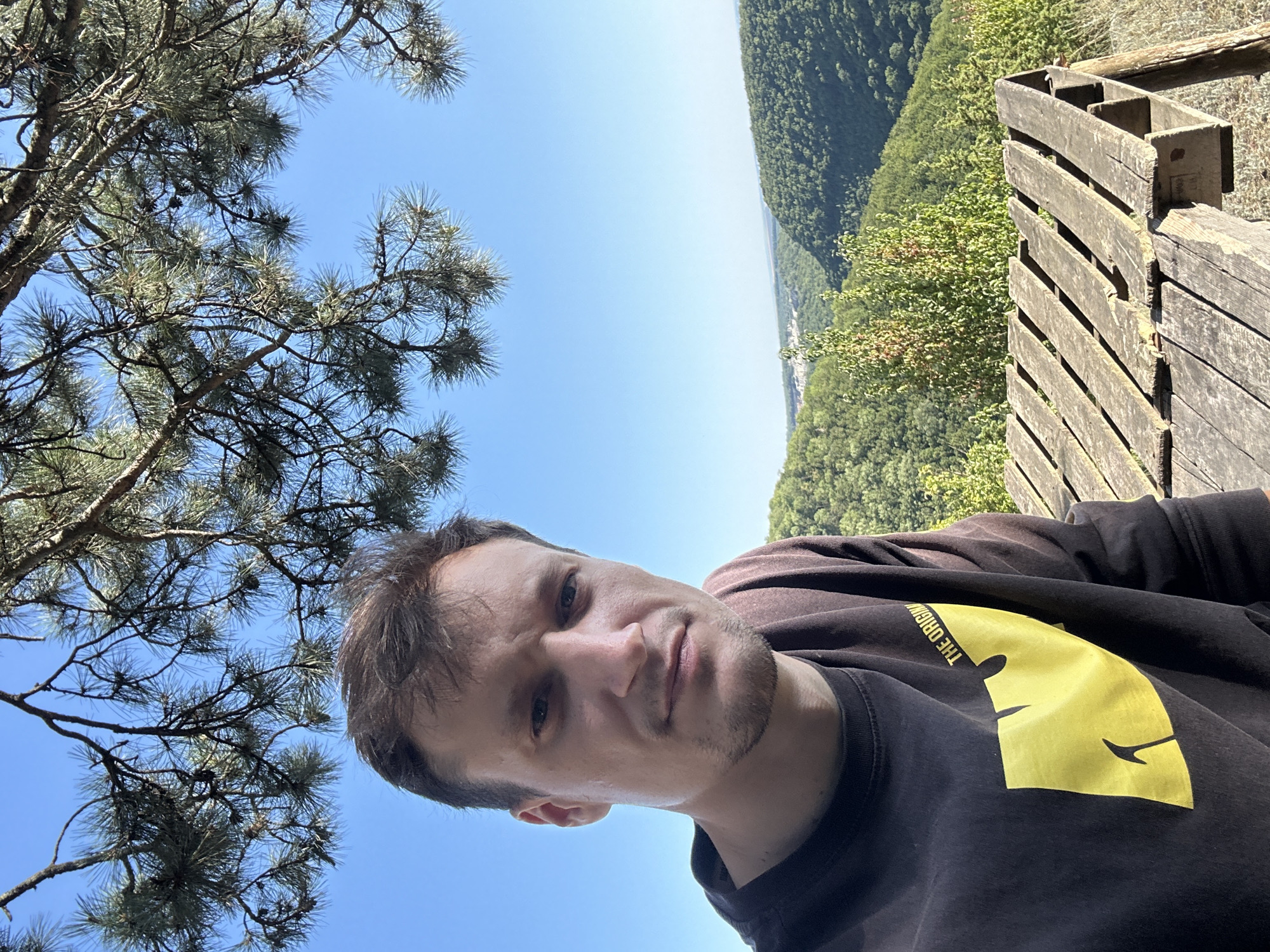 A man with short brown hair and a neutral expression is taking a selfie outdoors. He is wearing a dark brown long-sleeved shirt with a large yellow graphic on the left chest that reads "THE ORIGINA" in black text above a yellow Wu-Tang Clan logo. He is positioned in the foreground, slightly to the left of center.
Behind him, a wooden structure, possibly a picnic table or observation platform, with weathered planks is visible. The background consists of a lush, green forested valley under a clear blue sky. In the distance, a town or settlement can be seen nestled within the valley. Overhead, the branches of a pine tree with long needles partially obscure the sky. The scene appears to be a scenic overlook in Pryvorottia Druhe, Ukraine.