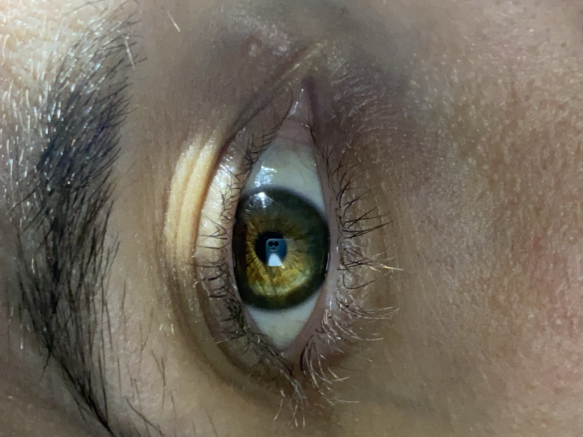 A close-up image focuses on a human eye. The iris exhibits a blend of green and brown hues. The surrounding skin tone appears light. Eyebrows with dark, dense hairs are visible above the eye. Sparse eyelashes frame the lower part of the eye. There are no indications of the city of Chaikovsky, Russia, present in the provided image.