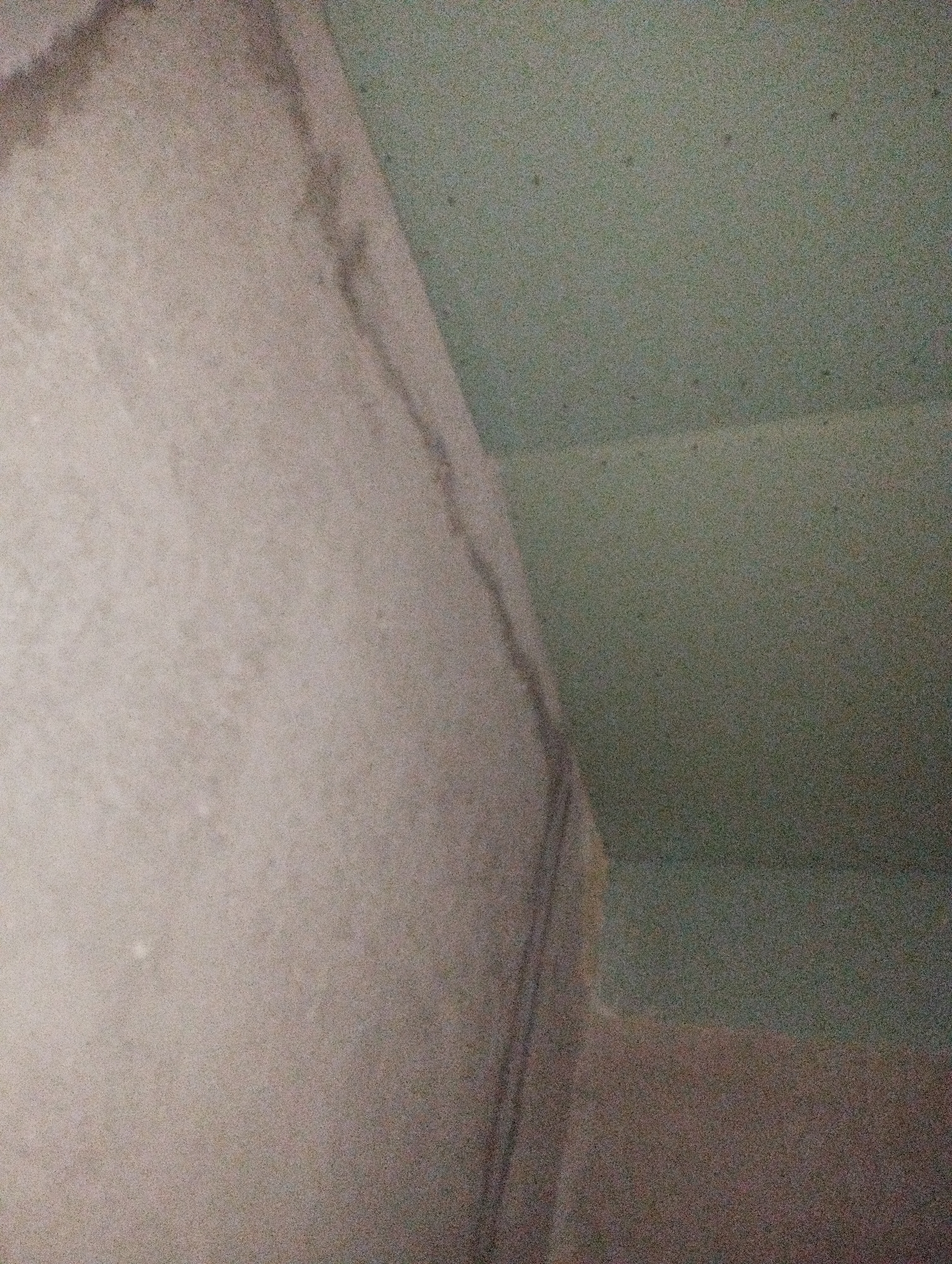 The image depicts an interior corner of a room with a textured concrete wall meeting a textured, pale green ceiling. The wall on the left is a neutral, light gray with subtle variations in tone and appears to be plaster or concrete. A darker, vertical line runs down the wall, suggesting a seam, crack, or edge. The ceiling occupies the upper right portion of the image and is a muted, speckled green. There is a distinct transition where the wall meets the ceiling, forming a concave corner. The lighting is dim, casting soft shadows and highlighting the texture of the surfaces. The scene appears to be a raw or unfinished part of a building's interior, possibly in Ustyvytsia, Ukraine, but without specific context or landmarks, this location cannot be definitively confirmed from the visual information alone.