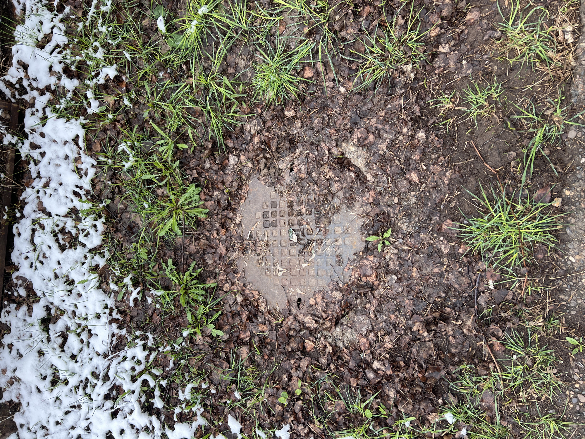 The image depicts a ground-level view of an outdoor scene in Chaikovsky, Russia. The ground is covered with a mix of grass, dead leaves, and a patch of snow in the lower-left corner. A square metal manhole cover is located centrally in the frame, partially obscured by leaves and debris. The environment suggests a cold, possibly wintery, condition. No people or actions are visible in the image.