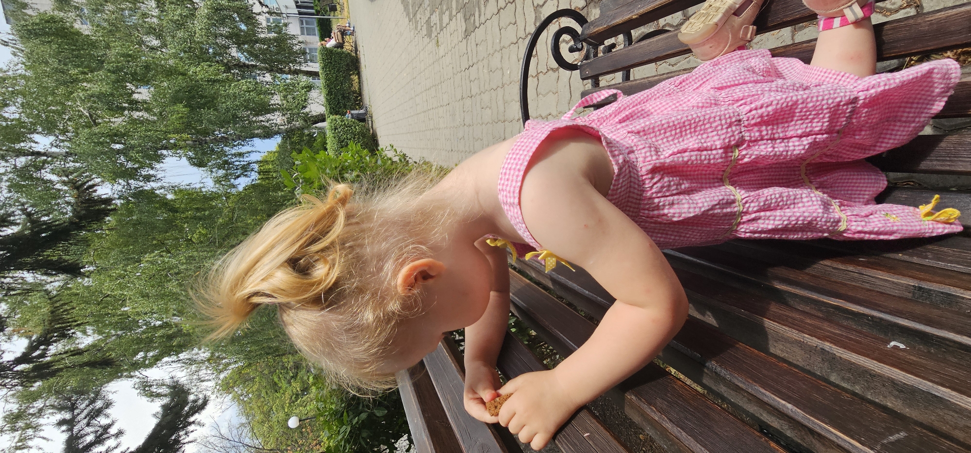 A young girl with blonde hair in a ponytail, wearing a pink gingham dress, sits on a wooden park bench. She is holding a small, brown object in her hands and appears to be examining it. Her gaze is directed downwards towards her hands. The bench is situated on a paved walkway in a park setting with lush green trees and bushes in the background. In the distance, another bench is occupied by two individuals. The scene is illuminated by natural daylight. The location is the city of Rostov-on-Don, Russia.