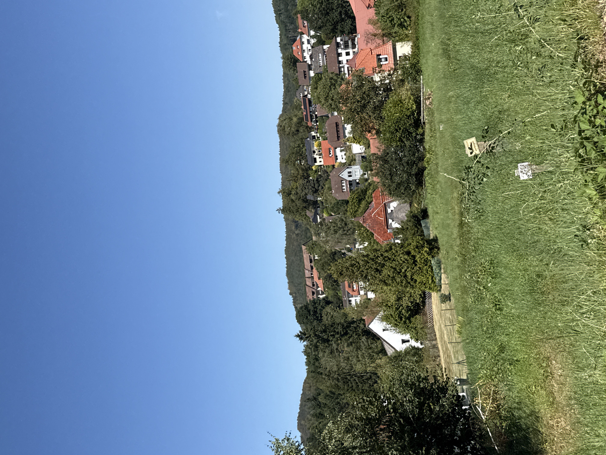 This is a wide-angle, landscape photograph of a residential area nestled on a hillside in Bad Sachsa, Germany, under a clear blue sky. The foreground is dominated by a lush, green meadow with tall grass and some fallen branches. Several wooden posts are visible in the meadow, one of which has a sign that reads "Vorsicht" (Caution) with a silhouette of a bird. In the midground, a cluster of residential houses with red-tiled roofs and white or light-colored walls are scattered amongst dense green trees and evergreens. The houses appear to be of traditional European architecture, with some featuring dormer windows. The background consists of a densely wooded hill, also covered in green foliage. The overall scene depicts a peaceful, rural setting within the town of Bad Sachsa.