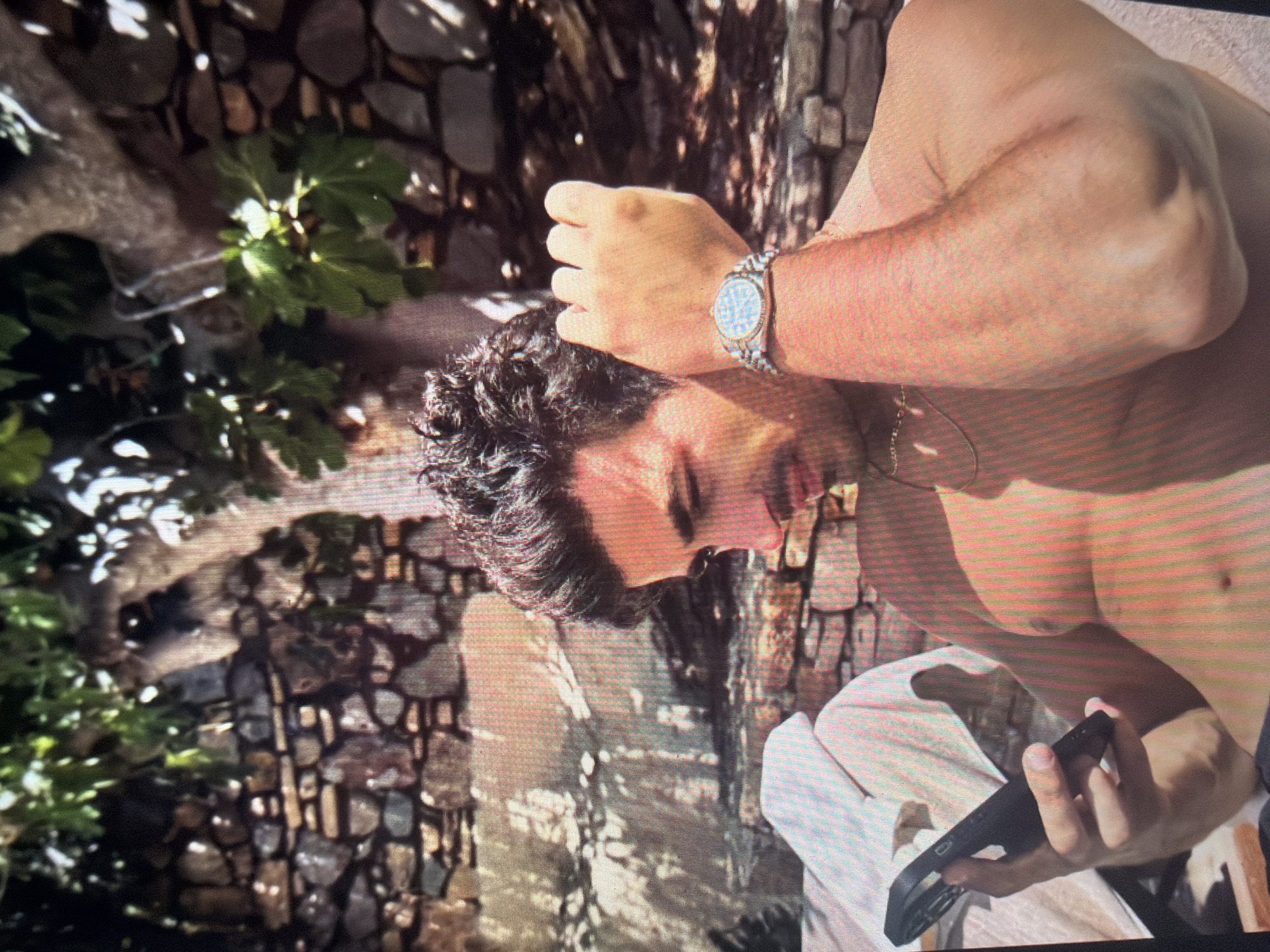 The image displays an outdoor scene under bright sunlight, depicting a shirtless adult male looking down at a smartphone. The man has dark, curly hair, a beard, and tanned skin. He is holding a black smartphone, encased in a black protective cover, in his left hand, with his thumb positioned on the screen. A thin, metallic necklace is visible around his neck. On his right wrist, he wears a metallic wristwatch with a circular, light-colored, patterned dial and a link bracelet. His right arm is bent, with the hand raised slightly towards his head, fingers loosely curled. In the background, there is a rustic dry-stacked stone wall, partially obscured by green foliage and tree branches, possibly from a fig tree. Shadows from the overhead foliage are cast across the wall and the man. A white or light-colored towel or fabric is visible on a surface to the left of the man. The scene is depicted as being located in the city of Shumen, Bulgaria.