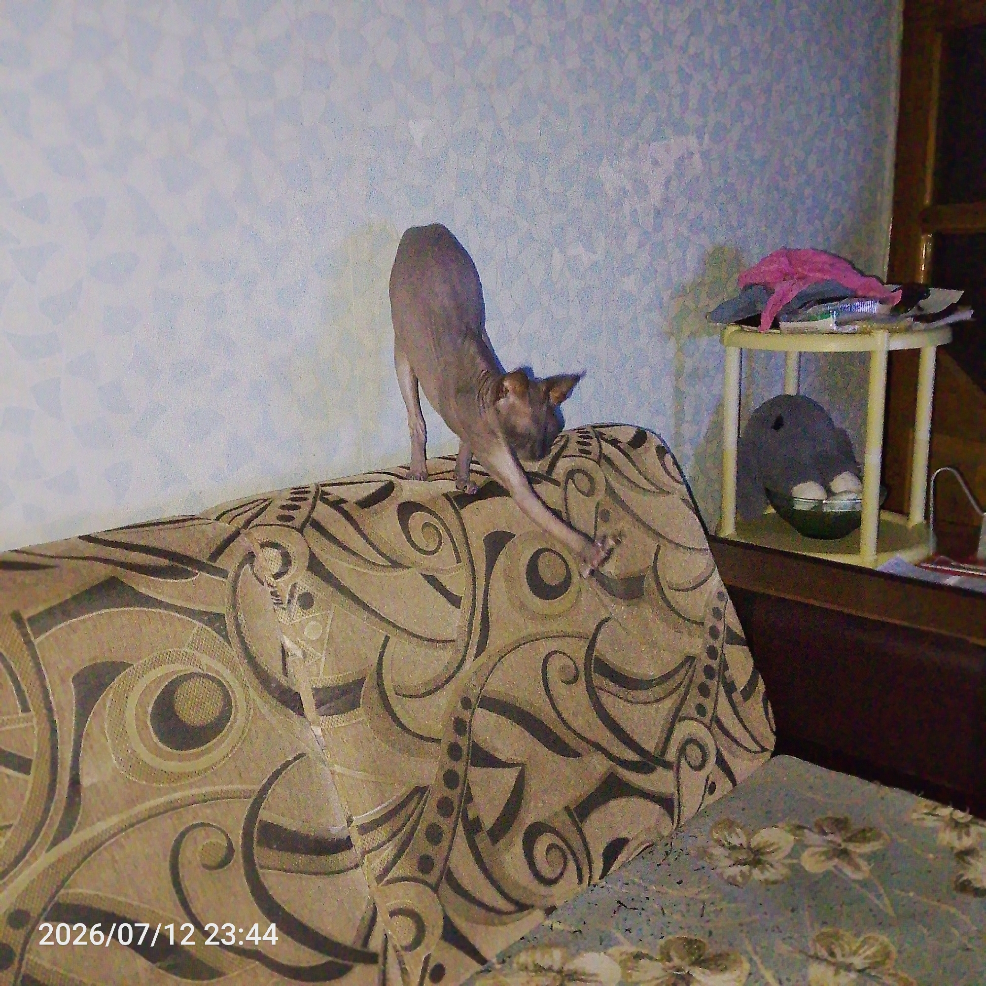 Memory