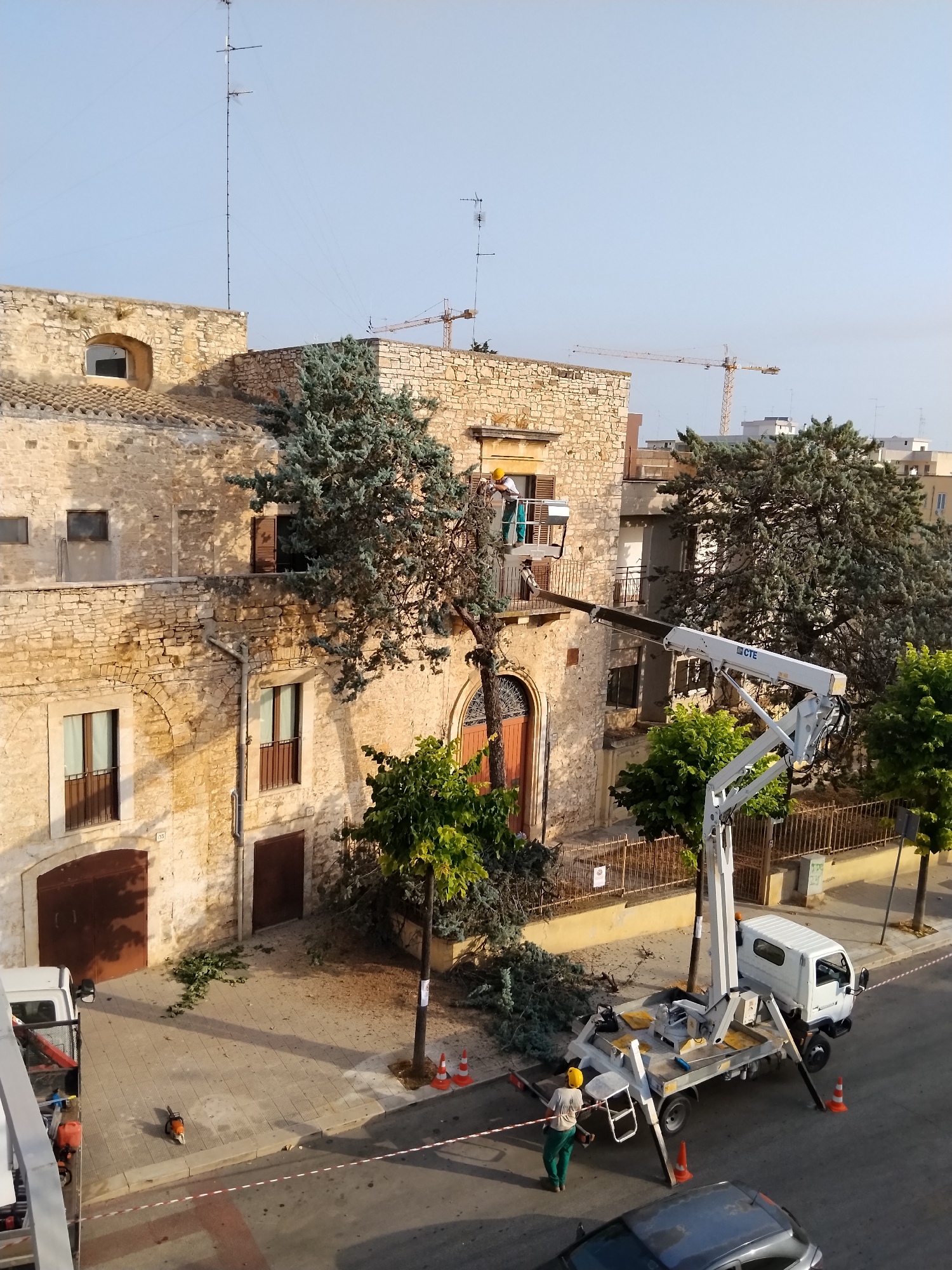 This image depicts an outdoor scene in the city of Bitonto, Italy. The primary focus is on a tree-trimming operation taking place in front of a multi-story stone building. A white truck with a hydraulic lift is positioned on the street, its boom extended to reach a large tree that appears to be growing on the side of the building. A person wearing a yellow hard hat and green work clothes is in the lift basket, actively engaged in trimming the tree. Another individual in similar work attire is standing on the ground near the truck. Debris from the tree, including branches and leaves, is scattered on the sidewalk and the street.
The building itself is constructed with light-colored, rough-hewn stones and features several windows with dark shutters. The architecture suggests an older style of construction. In the background, more buildings and a construction crane are visible, indicating ongoing development or repairs in the area. The sky is clear and bright, suggesting it is daytime. The street is paved, and traffic cones are placed around the work area, likely for safety. A chainsaw is visible on the sidewalk near the building.