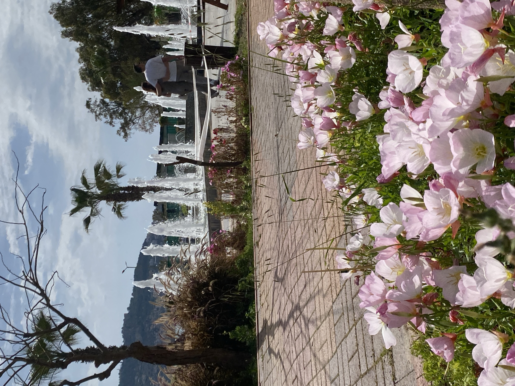 The image shows a park scene in Alanya, Turkey. In the foreground, pink flowers line a brick pathway. Behind the pathway, a fountain features multiple jets of water spraying upwards. Two people are visible near the fountain. A palm tree stands to the left of the fountain. In the background, a mountain is visible under a cloudy sky. A bare tree is in the lower left corner of the frame.