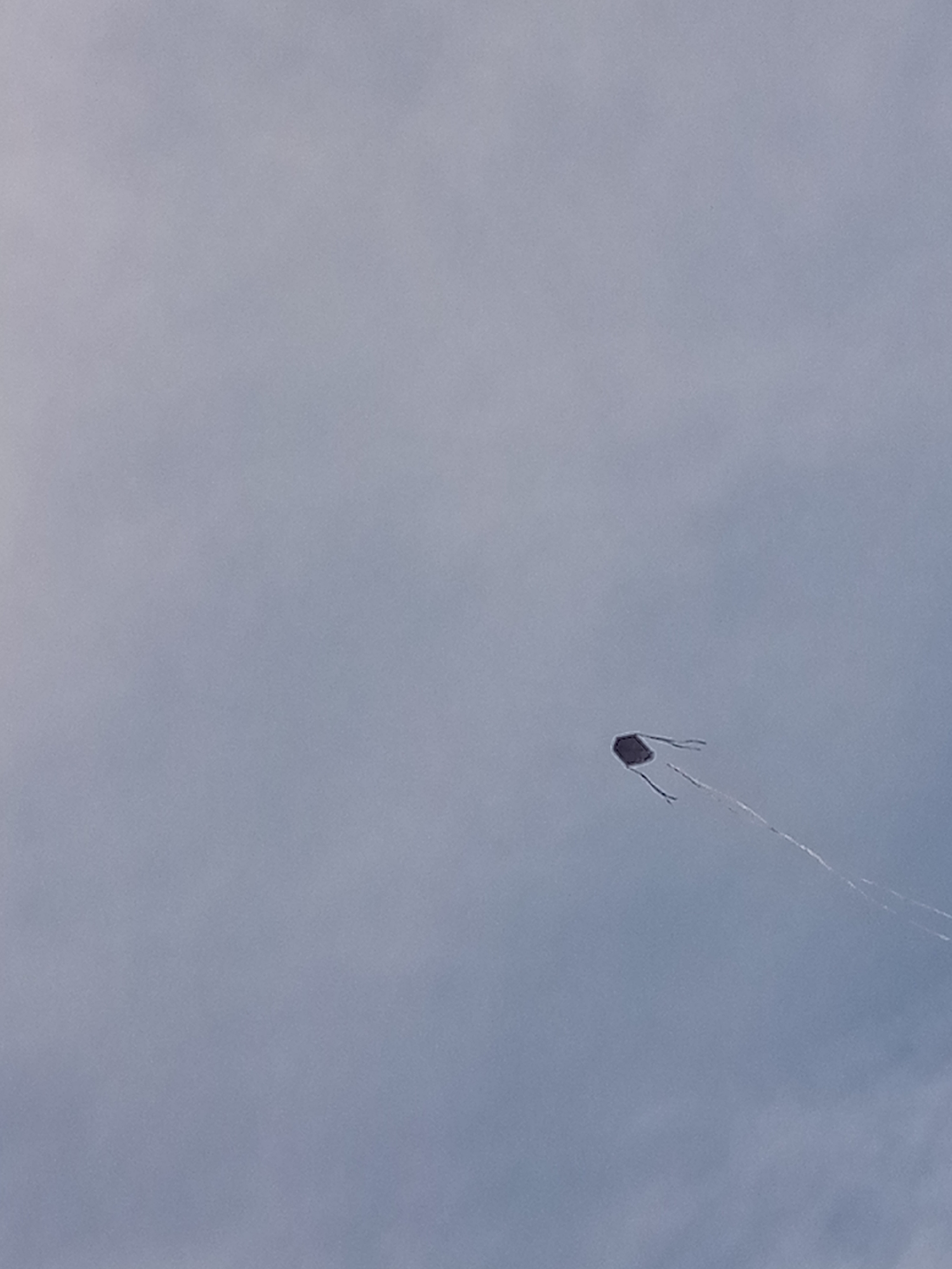 A kite is flying in a blue sky. The kite is dark in color, and has two tails. The kite string is visible below it. The city and specific location are unknown.