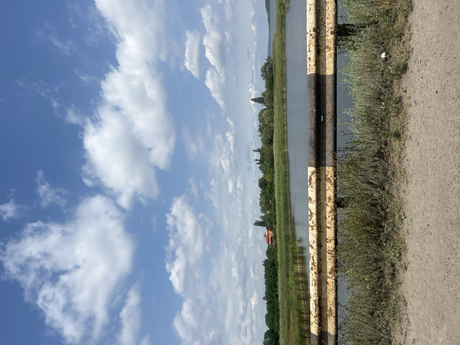 The image depicts a rural landscape in Staryi Saltiv, Ukraine, captured on a clear day with scattered clouds. In the immediate foreground, a dirt or gravel road surface transitions to a strip of sparse, dry-looking weeds and grass. Above this, a metal guardrail spans horizontally across the lower quarter of the frame, exhibiting significant rust and peeling paint in alternating faded yellow and black sections.
Beyond the guardrail lies a calm body of dark water, likely part of the Pechenihy Reservoir, which is bordered by a dense band of tall, green marsh reeds or grasses. In the midground, behind the reeds, a line of mature green trees forms a natural barrier, with a small building featuring a reddish-orange roof partially visible amidst the foliage on the left. The water extends into the distant right, meeting a faint, vegetated shoreline. The sky, occupying the upper two-thirds of the image, is a vibrant blue dotted with numerous white, puffy cumulus clouds of varying sizes. No individuals, animals, or specific actions are discernible within the scene.