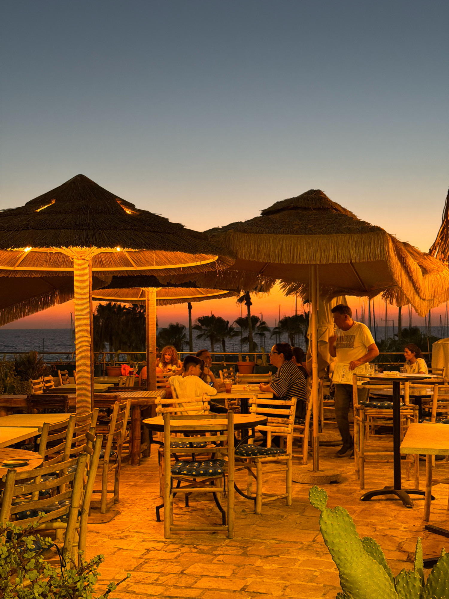The image depicts an outdoor dining area at dusk, likely in Tel Aviv, Israel, given the presence of palm trees and the general ambiance of a seaside location. The scene is lit by the warm glow of lights from two large thatched umbrellas and the fading light of the sunset, which casts an orange and pink hue across the sky and the water in the background. Several tables with wooden chairs are set up, some occupied by people dining or socializing.
In the foreground, several empty wooden chairs with blue patterned cushions are visible, suggesting an active dining area. A prickly pear cactus is also prominent in the lower right corner, adding a touch of local flora.
Under the larger thatched umbrella in the center, a man in a white t-shirt is standing, holding a menu and appearing to interact with a group of people seated at a table. To his left, a woman with dark hair and glasses is seated at a table. To the right, a woman with dark hair is seated at another table, facing away from the camera.
Further into the background, more tables and chairs are visible, along with more people enjoying the evening. The background reveals a body of water, likely the Mediterranean Sea, dotted with sailboats. Palm trees and other vegetation line the waterfront. The overall atmosphere is relaxed and convivial, characteristic of a pleasant evening at a seaside restaurant.