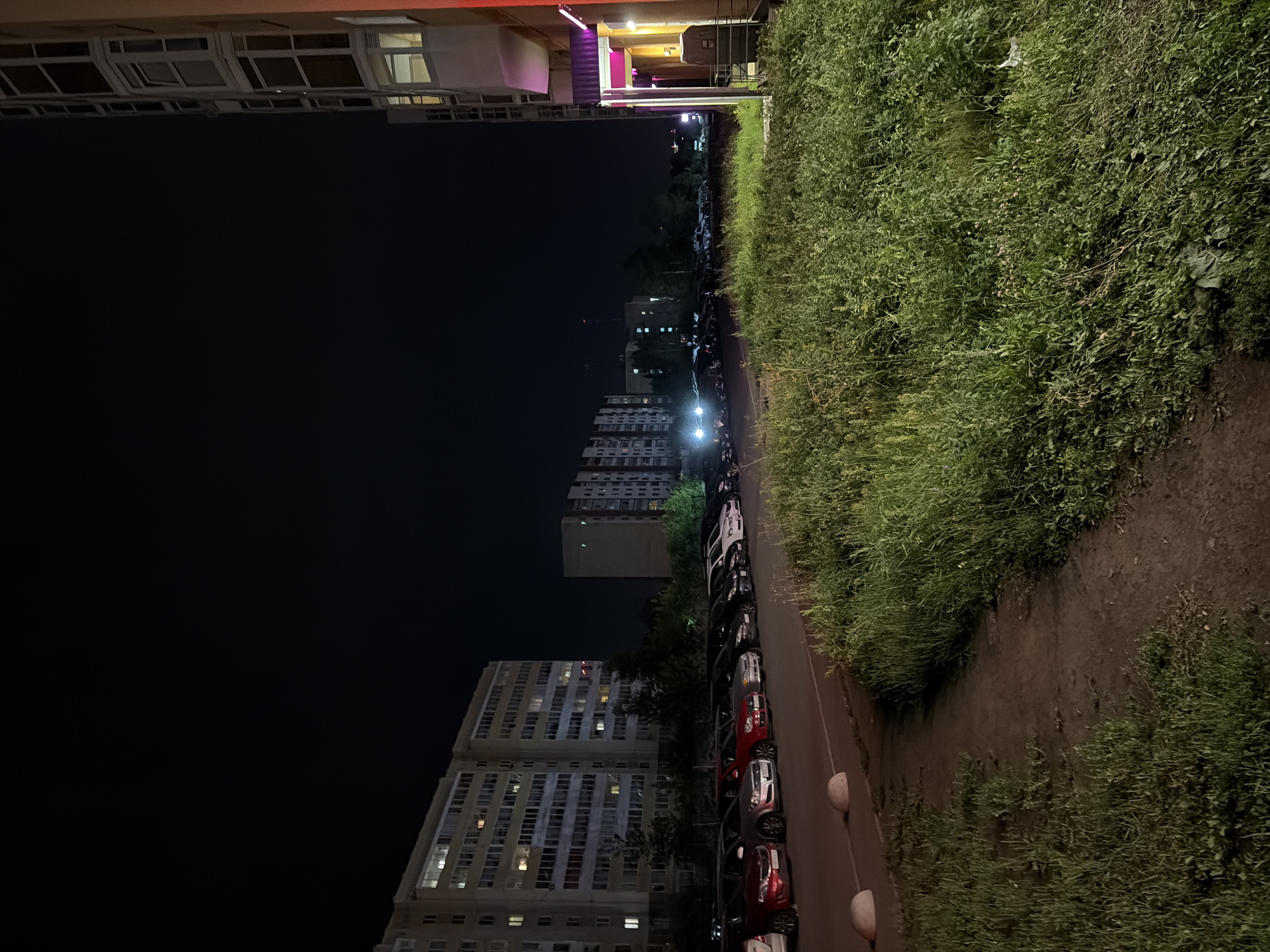 The image depicts a nighttime scene in a residential area of Yekaterinburg, Russia. A row of parked cars is visible along a paved area in front of apartment buildings. The buildings are multi-story structures with illuminated windows, suggesting occupancy. To the right, a portion of another building is visible, featuring balconies and illuminated sections. In the foreground, a patch of tall, unkempt grass and vegetation lines a dirt path. The sky is dark, indicating it is nighttime. The lighting appears to be from streetlights and the illuminated windows of the buildings. There are no people or discernible actions visible in the scene.