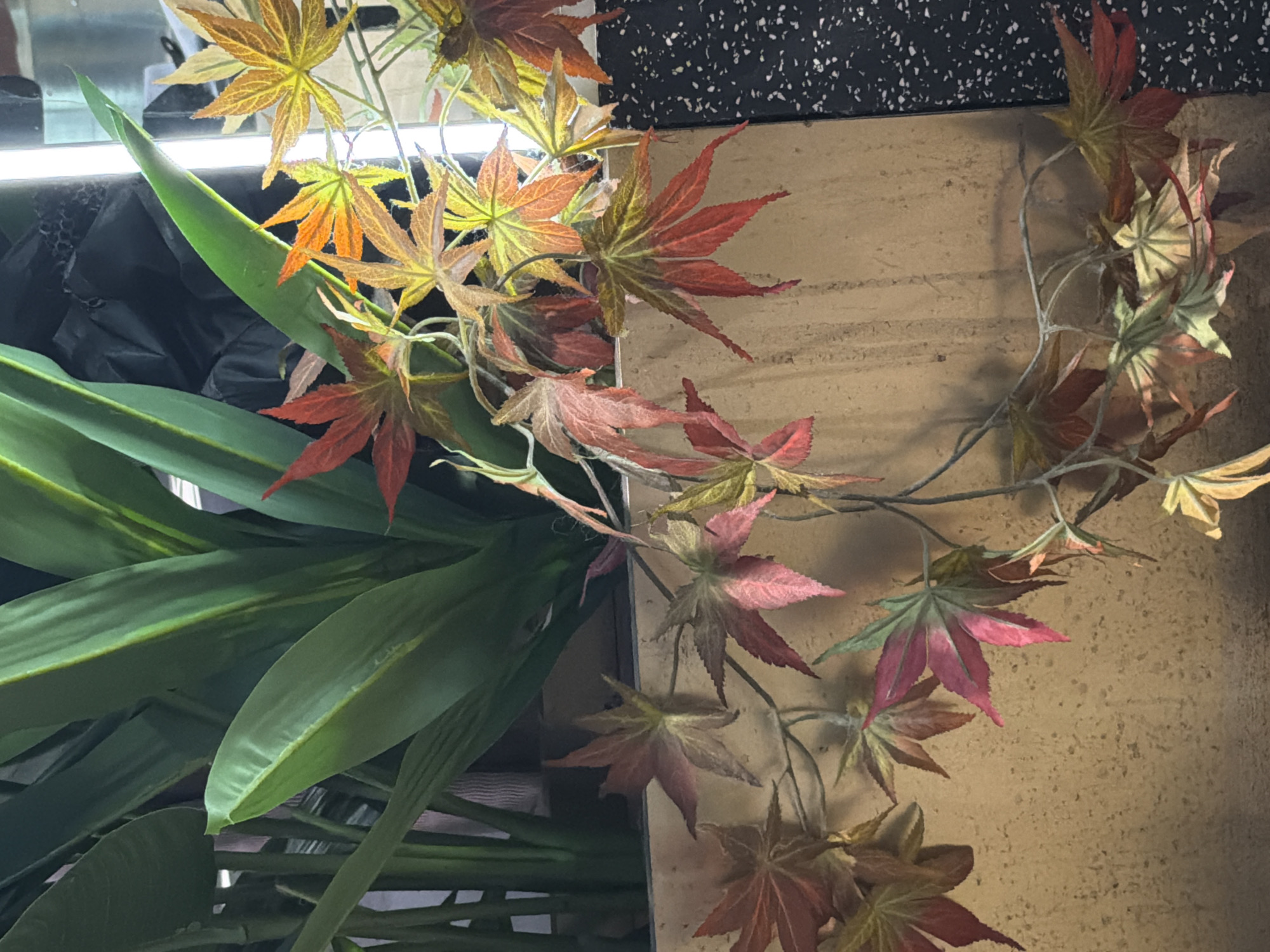 The image captures a close-up, vertically oriented view of an arrangement of artificial foliage. On the left, several large, smooth green leaves, possibly resembling those of a broad-leaf plant or bamboo, extend upwards and to the right. Behind these, a dark, textured, possibly crumpled object or fabric is partially visible, along with a bright, linear artificial light source, likely an LED strip.
Dominating the right side of the frame and intertwining with the green leaves are vines adorned with numerous artificial maple-like leaves. These leaves display a vibrant range of autumn colors, transitioning from light yellow and orange to deep red and maroon, with some showing hints of green. Their surfaces have visible vein patterns, typical of fabric or plastic artificial plants.
The background consists of two distinct sections. In the upper right corner and behind some of the maple leaves, there is a dark, speckled surface, possibly a terrazzo pattern or a similarly textured dark material. Below this, and extending across much of the right and lower right, is a light brown or beige surface with a rough, mottled texture, resembling a concrete or wooden wall. No discernible activity is taking place, as the image depicts a static decorative arrangement. There is no visible text or specific time of day indicated, beyond the presence of artificial lighting. The scene appears to be an indoor decorative display.