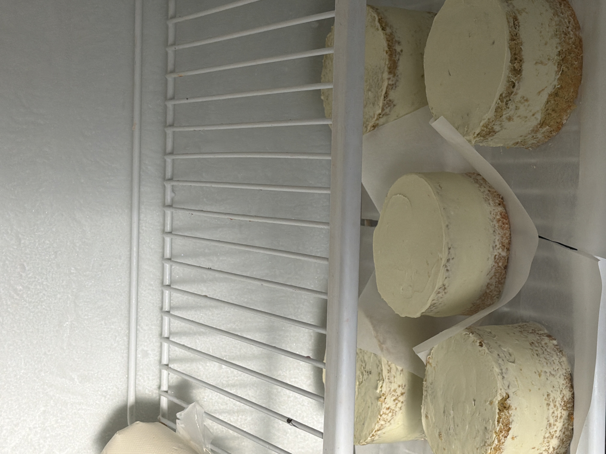 The image shows a view inside a refrigerator, likely in a commercial setting. There are several round cakes, each seemingly on a square of parchment paper, neatly arranged on the shelves. The cakes are frosted with a light-colored icing. The refrigerator interior is white and has a wire rack shelving system. The location in Tel-Aviv, Israel, cannot be determined from the image alone.