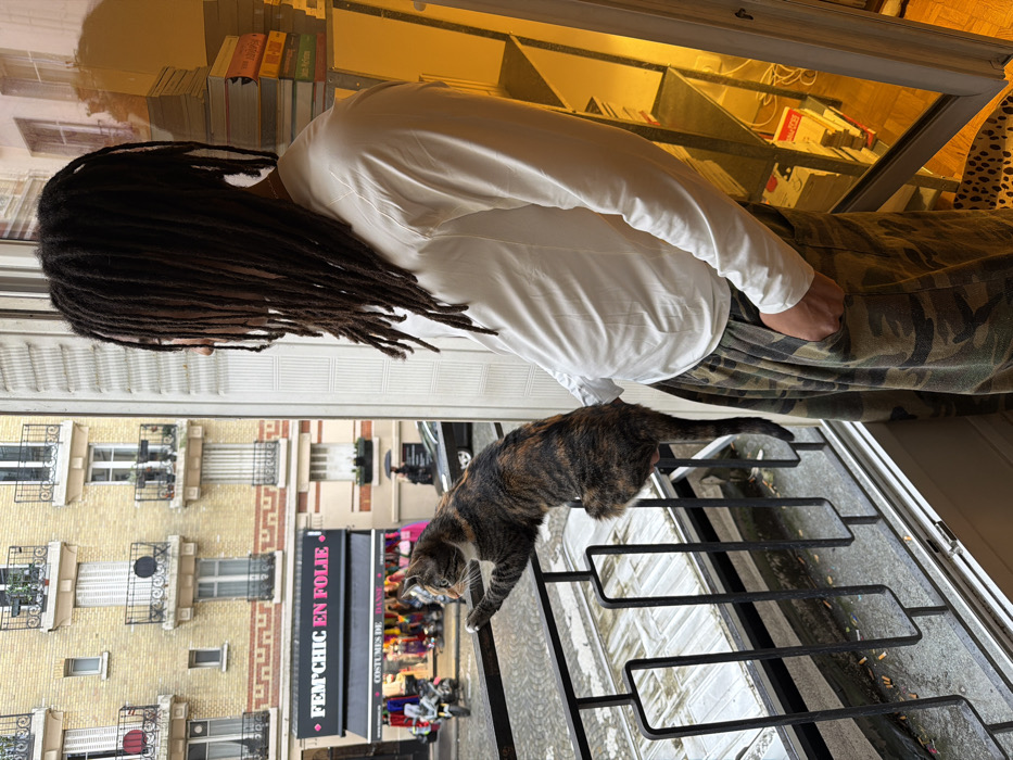 The image captures a person and a cat observing a city street from a balcony. The perspective is from inside, looking out.
In the midground, a person stands with their back partially to the viewer, facing outwards. They have long, dark dreadlocks that reach down their back and shoulders. They are wearing a simple white long-sleeved shirt and camouflage-patterned trousers, with one hand casually tucked into a pocket.
To the person's right, a calico or tortoiseshell cat, with distinctive patches of black, brown, and orange fur, is perched delicately on the black metal railing of the balcony. The cat's body is stretched out along the railing, and its head is turned downwards and slightly to the left, indicating it is intently observing something below or on the street.
The balcony features a decorative black metal railing with a geometric pattern. The outdoor scene in the background depicts a multi-story European city street, likely in France. The buildings are constructed of light-colored stone or brick, featuring numerous windows and ornate black wrought-iron balconies.
At street level, a shop with a black awning is visible. A sign on the shop prominently displays the text "FEM'CHIC EN FOLIE" in white letters. Below this, smaller text, partially obscured, appears to read "COSTUMES DE...". Colorful merchandise, possibly clothing or costumes, can be seen displayed in the shop's windows. Cars are parked along the street, suggesting an active urban environment. The outdoor lighting indicates it is daytime, possibly overcast.
A reflection is visible in the upper part of the window or glass door from which the balcony extends. This reflection shows what appears to be shelves laden with books or other objects, bathed in a distinct warm, yellowish artificial light, contrasting with the outdoor ambiance and hinting at the interior space behind the person.