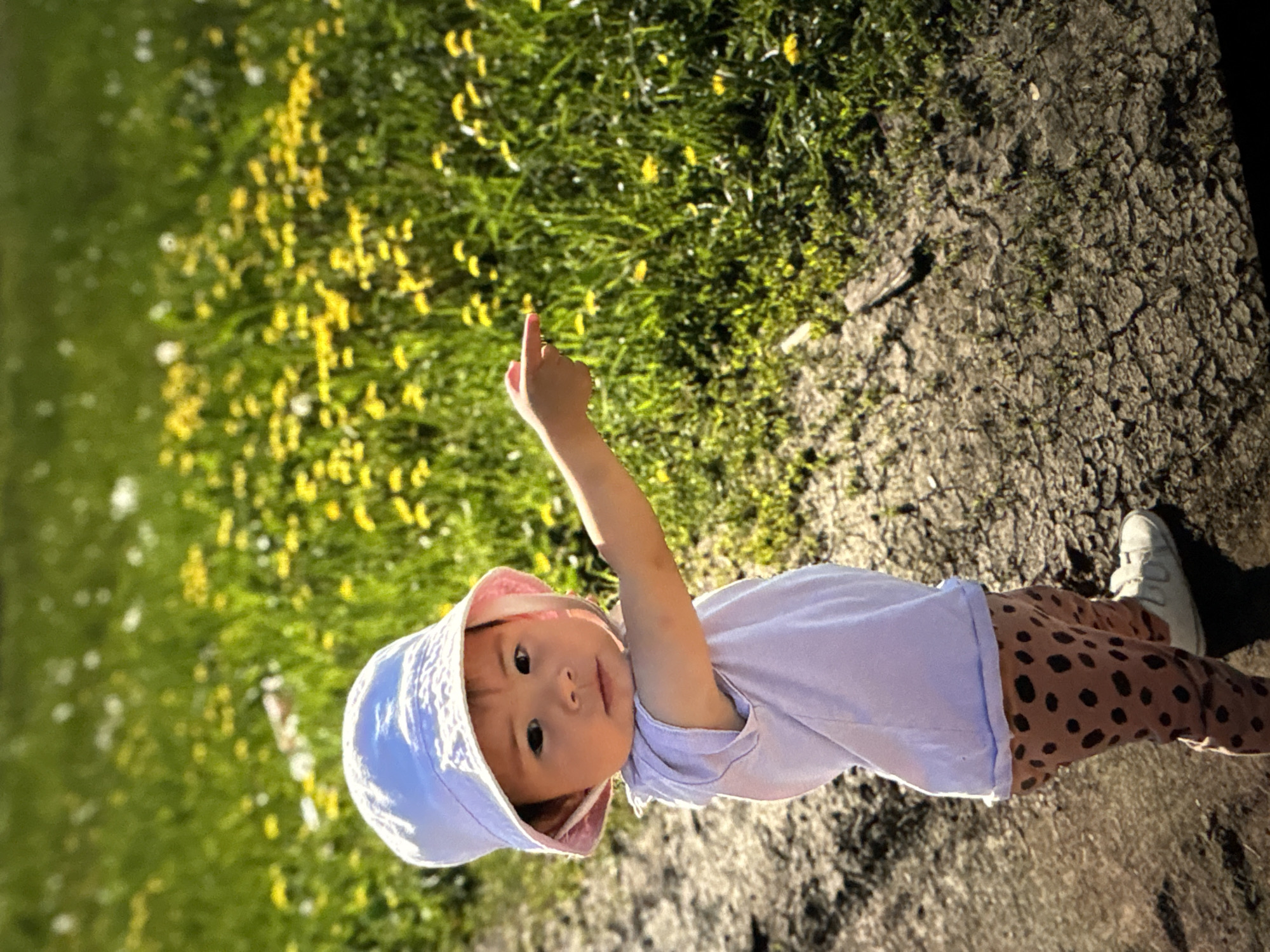 A young child is outdoors in what appears to be a park or grassy area. The child is wearing a white hat, light purple shirt, and brown pants with black polka dots. The child is pointing upwards with their right hand. To the left of the child is a patch of green grass with many yellow flowers. The child is standing on an area of cracked dirt or concrete. Given the location is Ембаево, Russia, the setting is likely a park or public space within the city limits.