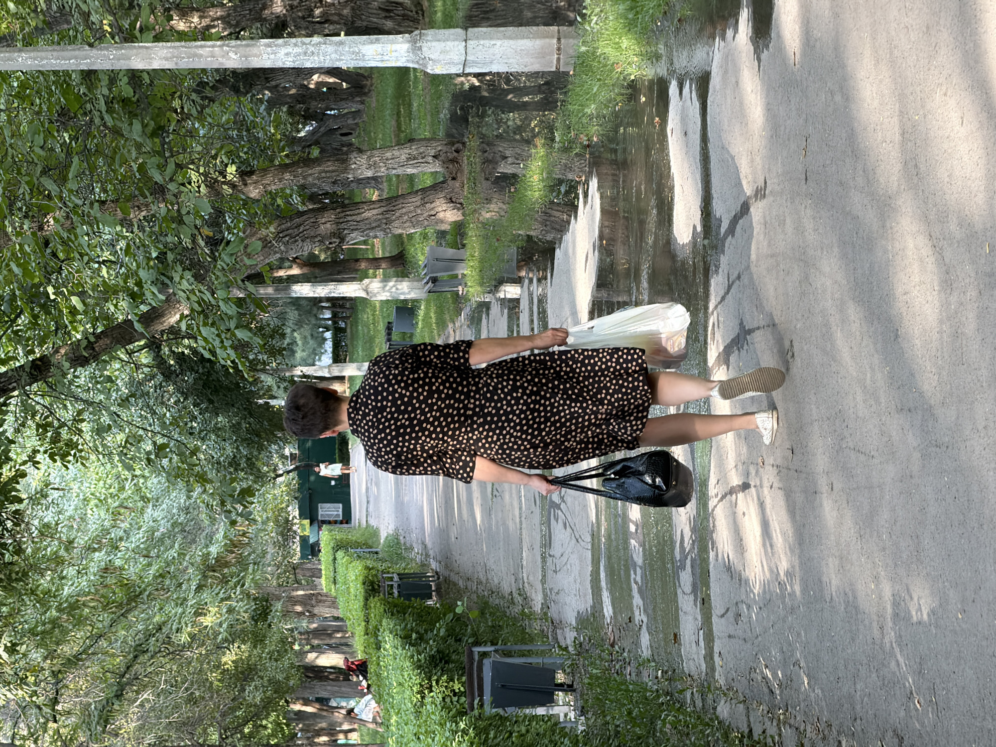 A woman with short, dark hair walks away from the camera down a paved path in a park. She is wearing a black dress with small, light-colored polka dots and white sneakers. She carries a black handbag in her left hand and a white plastic shopping bag in her right hand. The path is lined with manicured green hedges on the left and trees on both sides. The ground of the path has several large puddles of water, reflecting the surrounding trees and sky. In the distance, other people can be seen sitting on benches and walking. The environment appears to be a public park or boulevard in an urban setting.