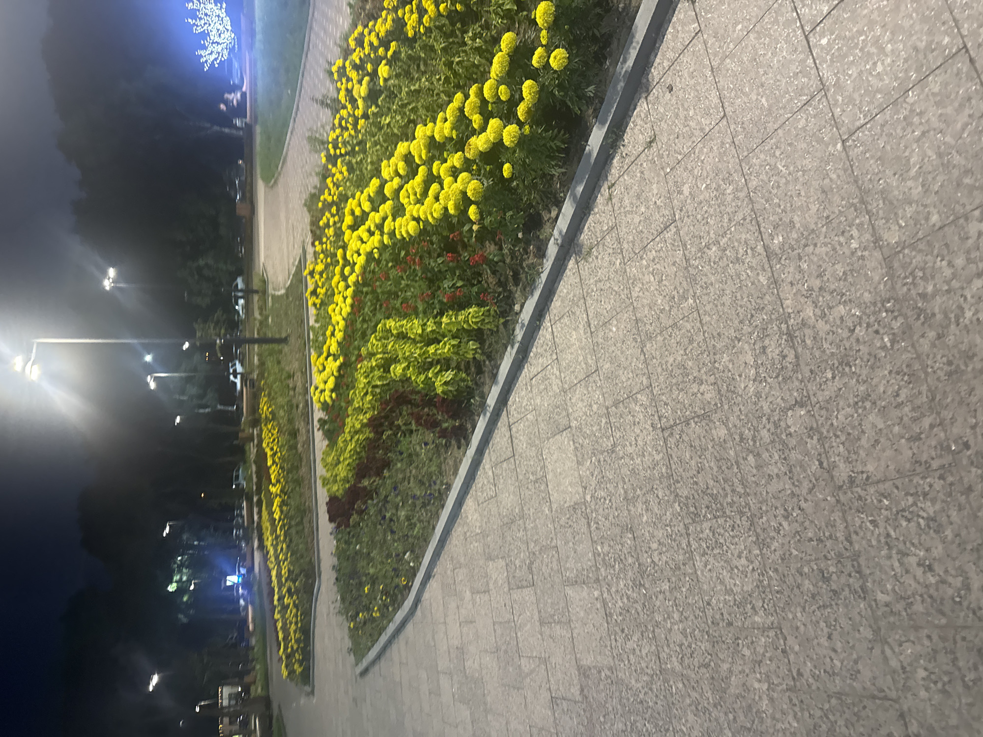 This is a nighttime photograph of a park path in Komsomolsk-on-Amur, Russia. The path is paved with large, light grey rectangular tiles. To the right of the path, a flowerbed contains numerous yellow flowers, interspersed with some red and lime-green foliage. Beyond the flowerbed, trees line the background, their forms indistinct in the low light. Several streetlights are visible, illuminating the scene and casting bright light, particularly from one directly above and to the right of the frame. In the far background, a brightly lit, white-patterned tree, likely a decorative light installation, is visible on the right side of the image. There are no discernible individuals in the foreground or middle ground. The overall atmosphere is that of a public park at night, well-lit and maintained.