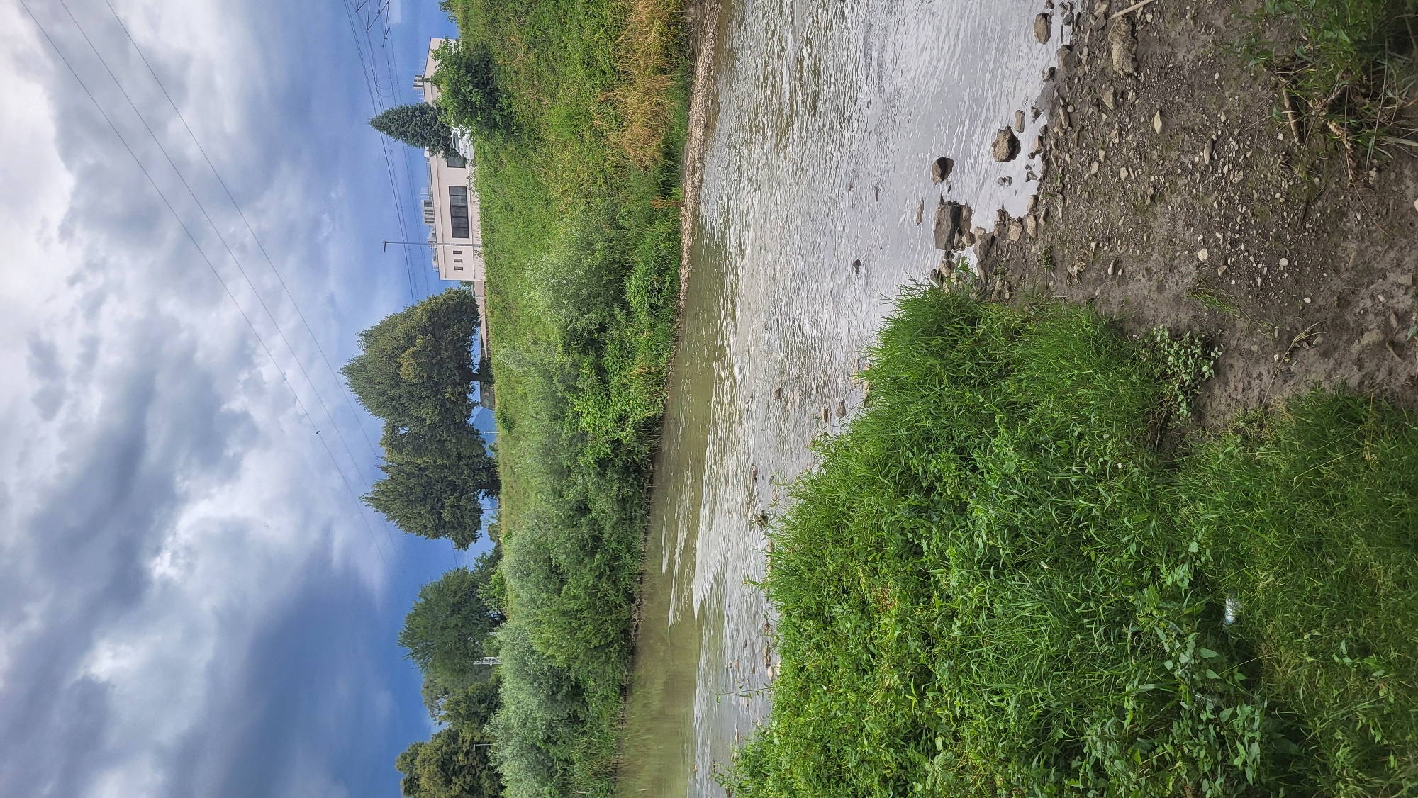 The image depicts a serene natural scene alongside a calm body of water, likely a river or stream, under an overcast sky. The landscape is predominantly green, with lush vegetation lining the banks. Tall trees, some with full canopies, are visible in the background, suggesting a temperate climate and possibly a park or rural setting. A modern building with several windows and a light-colored facade stands to the left, indicating proximity to human habitation or infrastructure. Power lines crisscross the sky, hinting at a developed area. The water's surface is rippled, reflecting the muted light of the cloudy sky. The bank of the water is a mix of soil and scattered stones, with a dense growth of grass and smaller plants. The overall mood of the image is peaceful and tranquil, suggesting a quiet moment in nature. The weather appears to be cloudy, with patches of darker clouds indicating potential for rain or a storm. The location context points to Prešov, Slovakia. No people are visible in the image, and no text is present.