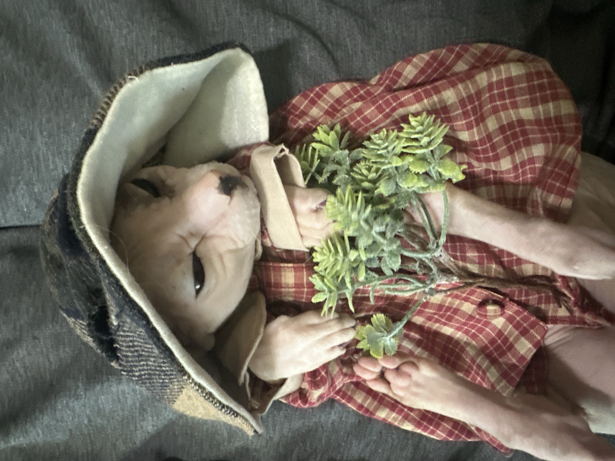 This is a top-down, eye-level, medium shot of a Sphynx cat dressed in a plaid dress and a hooded garment. The cat is lying down on a grey, textured surface, possibly fabric. The cat's head is partially obscured by the hood, revealing its face which appears to be resting or sleeping. It has wrinkled skin, visible ears, and dark eyes. The cat is wearing a red and tan plaid dress with buttons down the front. Its front paws are tucked under its chin, and its hind legs are visible, with one paw resting on the dress. In front of the cat, held by its paws, is a small, artificial green plant. The background is out of focus, showing the grey material the cat is lying on. There is no discernible location in Togliatti, Russia, within this image.