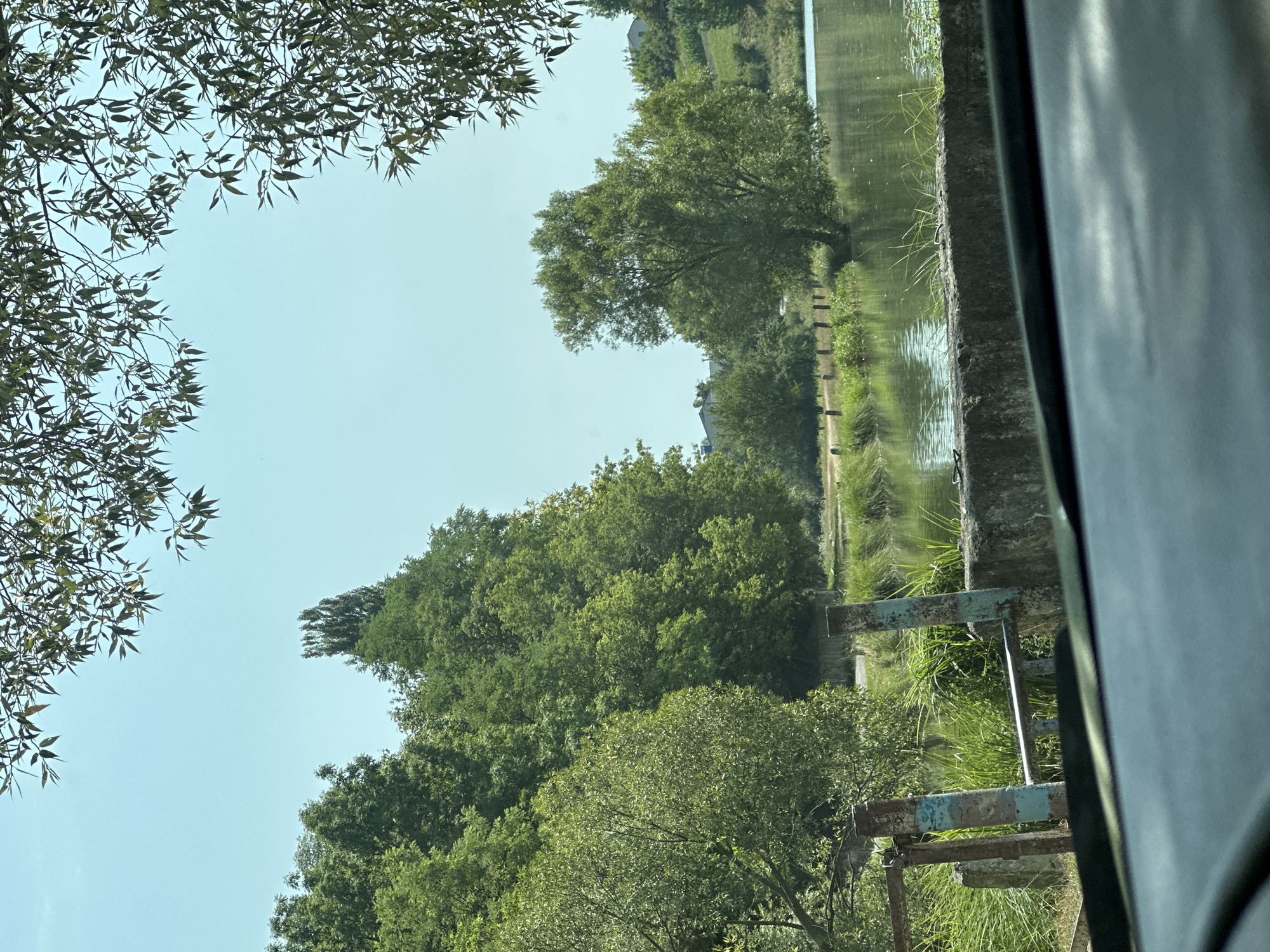 The image captures a serene natural landscape, likely on the outskirts of Makiv, Ukraine. In the foreground, a portion of a vehicle's interior is visible, with the dashboard and windshield suggesting the photograph was taken from inside a car. Beyond the vehicle, a weathered, rusty metal gate with blue and white paint accents stands partially open. This gate is flanked by concrete and stone posts, and surrounded by tall, green grass.
A calm body of water, likely a lake or river, dominates the middle ground. The water's surface reflects the lush greenery of the surrounding trees and the clear, pale blue sky. Along the water's edge, a line of wooden posts creates a subtle boundary.
The background is characterized by a dense expanse of various trees, their foliage a vibrant green under the daylight. A tall, slender tree stands out amongst the others, its distinct shape reaching towards the sky. In the distance, rolling hills are visible, dotted with more trees and hints of structures, suggesting a rural or semi-rural setting near Makiv. The overall impression is one of tranquility and natural beauty, with the man-made elements of the gate and possibly distant buildings providing a sense of human presence within the landscape.