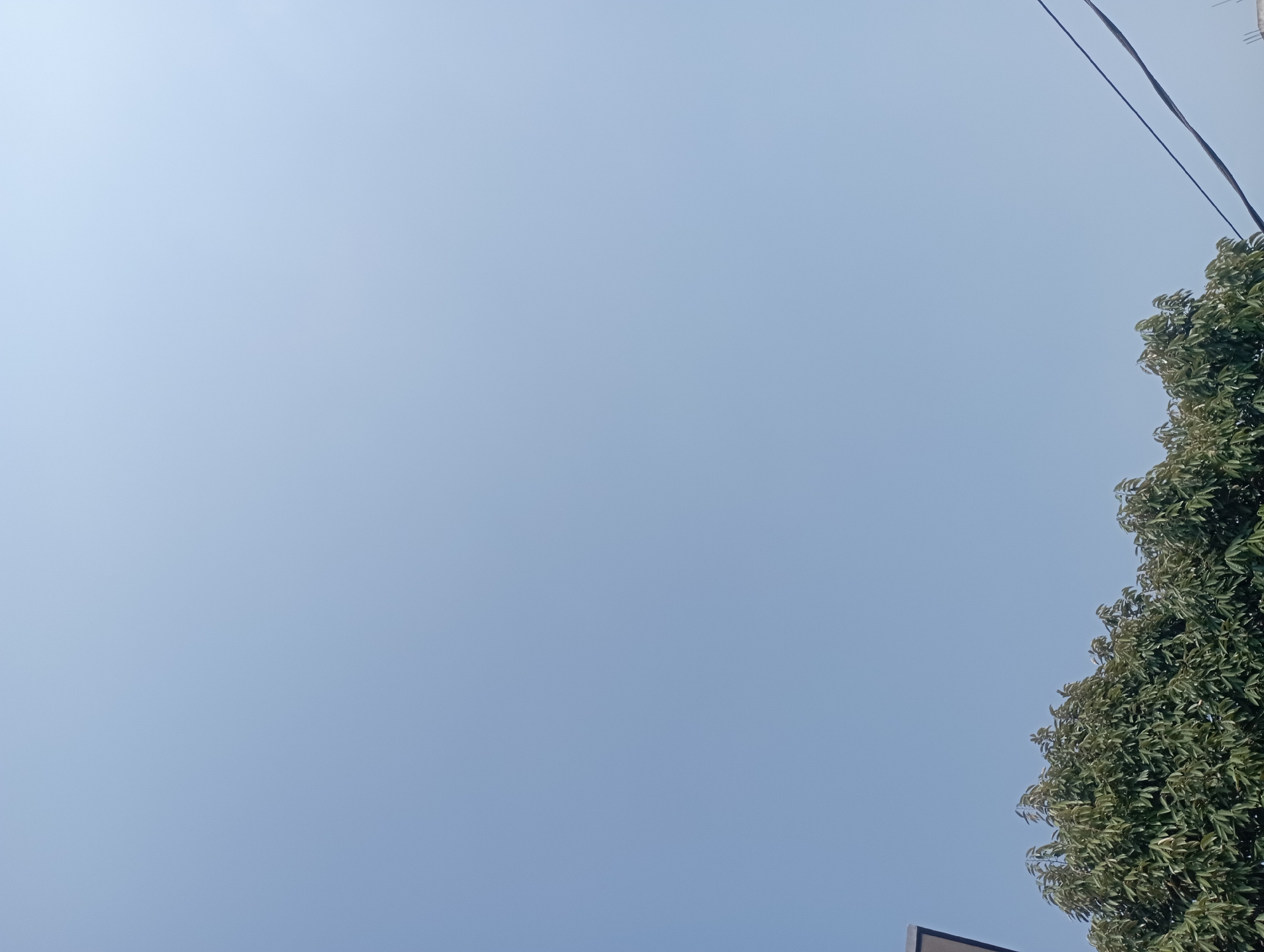 The image depicts a clear sky above a tree line and power lines, suggesting an outdoor urban environment. The scene is likely captured in the city of Surakarta, Indonesia, given the context provided. The sky is a pale blue, indicating daytime with no visible clouds. The top of a building with a dark, angled section is partially visible on the left edge of the frame. Below the sky, a dense canopy of green leaves from a tree fills the lower portion of the image. Two black power lines are visible in the lower right quadrant, stretching diagonally across the frame. The perspective is from a low angle, looking upwards. No people or animals are present in the frame.