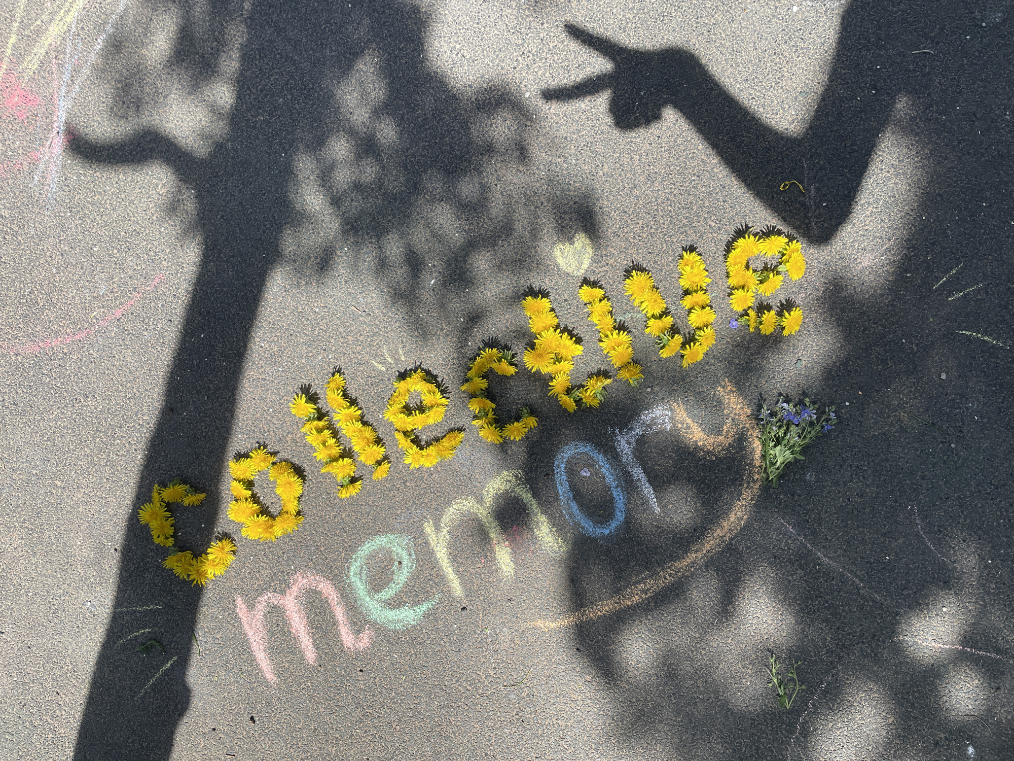A sunny, eye-level shot on asphalt. "Collective" is spelled out in yellow dandelions and "memory" is written beneath in colored chalk. The shadow of a person with raised arms and pointing fingers is cast on the ground above the writing. A tree shadow also falls across the image. A small bouquet of blue and purple flowers is placed on the asphalt next to the word "memory". I am unable to find definitive evidence that the image was taken in Izhevsk, Russia.