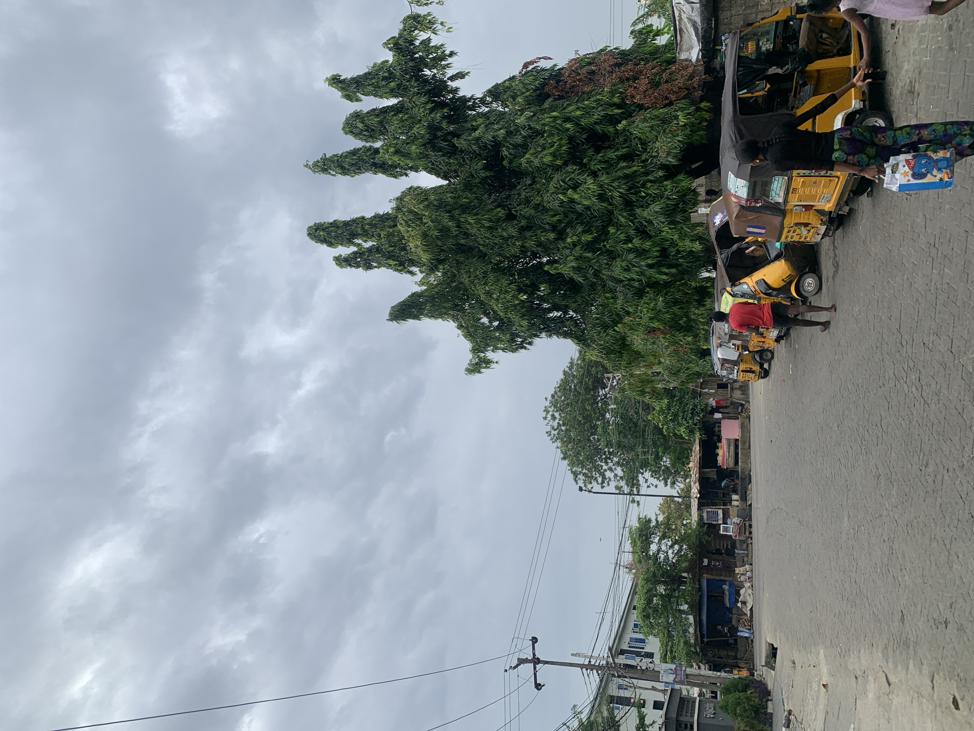 The image depicts a street scene in Lagos, Nigeria under an overcast sky. The road, constructed of interlocking pavers, runs from the foreground to the midground. A row of yellow auto rickshaws (tuk-tuks) is parked on the right side of the road. Individuals are visible interacting with the tuk-tuks, including a person in a red shirt, a person in black, and a person wearing a patterned dress. The left side of the road features power lines and a building. The background includes dense green trees and some shacks.