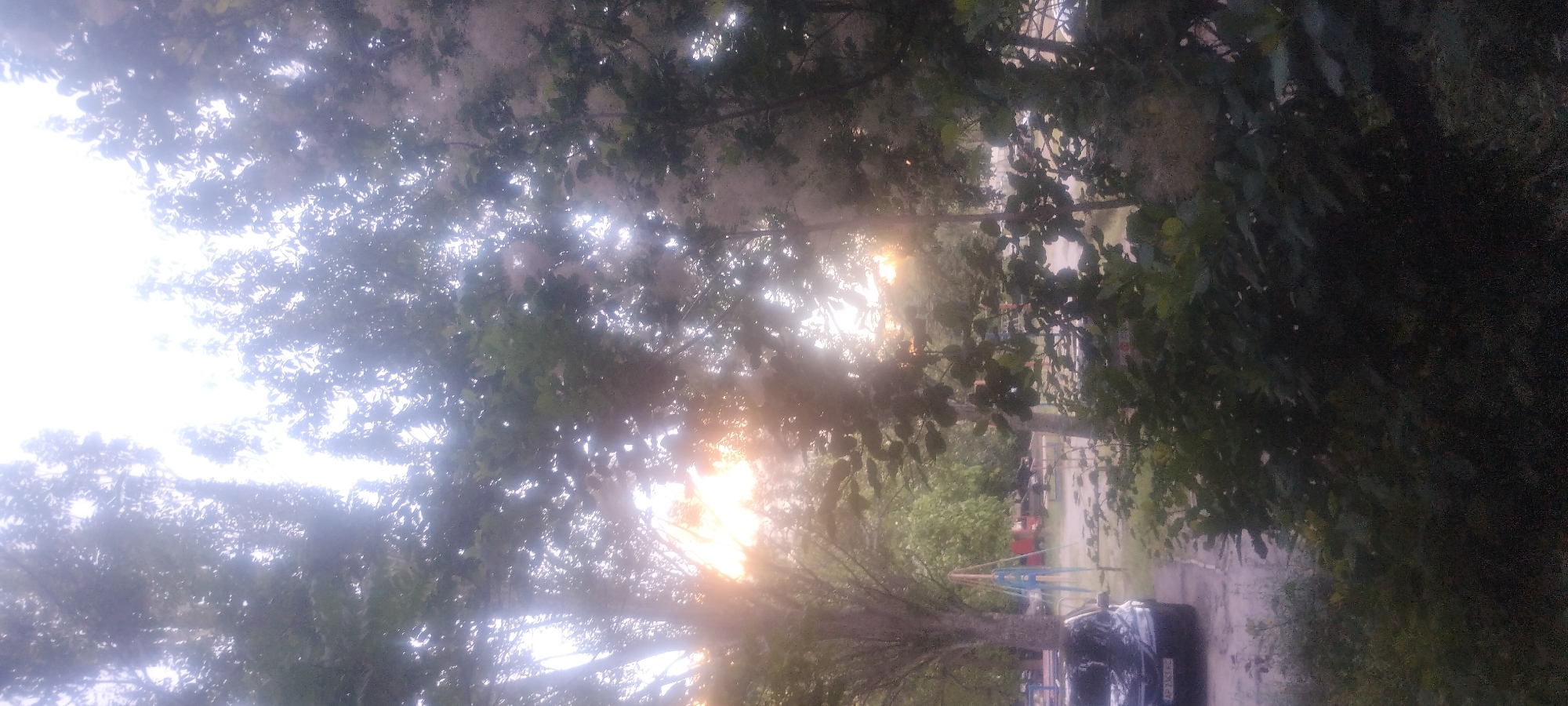A sunlit outdoor scene with trees in the foreground and background shows a playground structure and a car parked on the left. The sun is setting, casting a warm glow through the leaves of the trees. The playground has a blue and yellow frame and a swing set. The car is a dark-colored sedan with a license plate that reads "AP 7363 KC". The environment appears to be a residential area with trees and greenery.