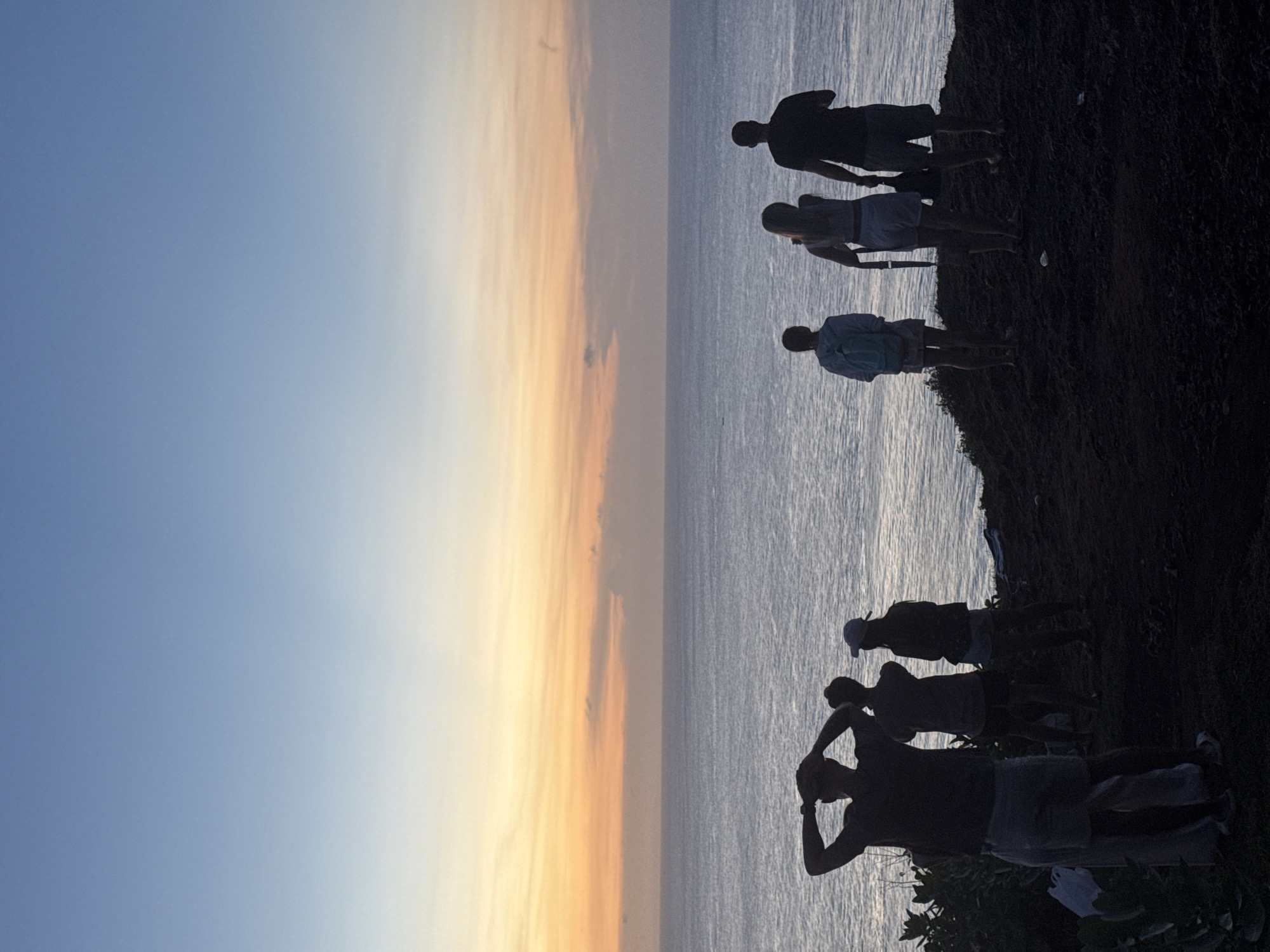 Here is a forensic description of the image.
**Scene:** A landscape photograph is horizontally oriented. The right side features a dark, possibly rocky cliff edge silhouetted against a shimmering body of water. Several figures are silhouetted along the cliff's edge, appearing to look out toward the water. The water reflects the colors of the sky, primarily shades of grey and silver. The left side of the image is filled with a sky gradient shifting from light blue to orange.
**People:** The image includes several silhouetted human figures positioned on the cliff edge. They are varied in height and stance, suggesting a group of individuals.
**Subjects/Objects:** Dominant subjects include the silhouetted figures, the body of water, the cliff edge, and the gradient sky. Additional objects present are likely vegetation growing on the cliff edge.
**Actions/Interactions:** The primary action is people standing and observing the body of water, potentially watching a sunset or sunrise.
**Environment:** The environment includes a coastal cliff overlooking a large body of water, presumably an ocean. The sky indicates either a sunrise or sunset.