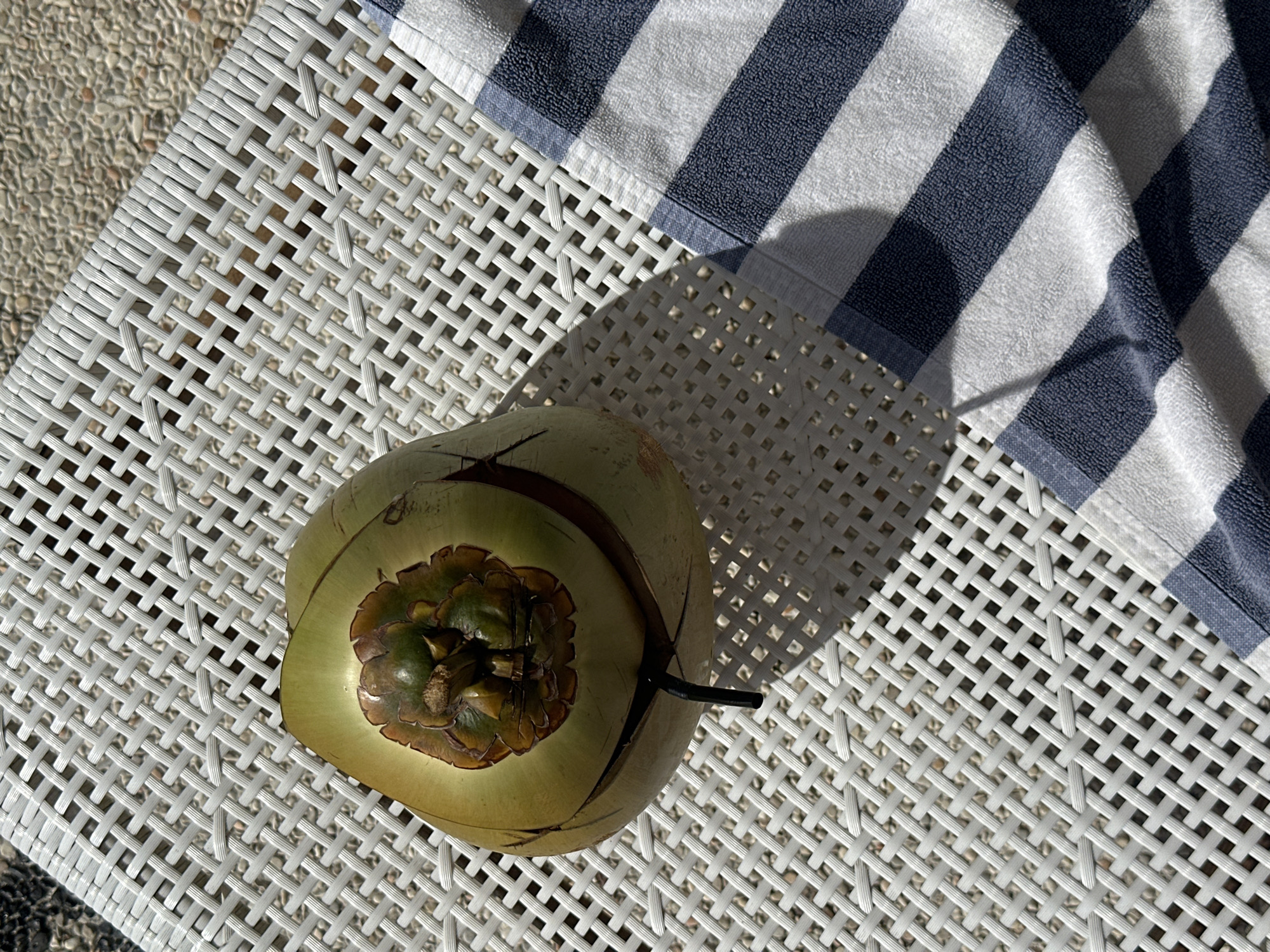 A sunlit overhead shot features a green, husk-covered coconut with a black straw, resting on a white woven patio chair next to a folded blue and white striped towel. The chair is located on an outdoor patio with textured concrete flooring, likely in a tropical setting based on the coconut. While the image doesn't provide explicit details confirming its location in Nusa Penida, Indonesia, the presence of a fresh coconut and tropical patio setting suggests it could be found in a location like that. No people are visible in the scene.