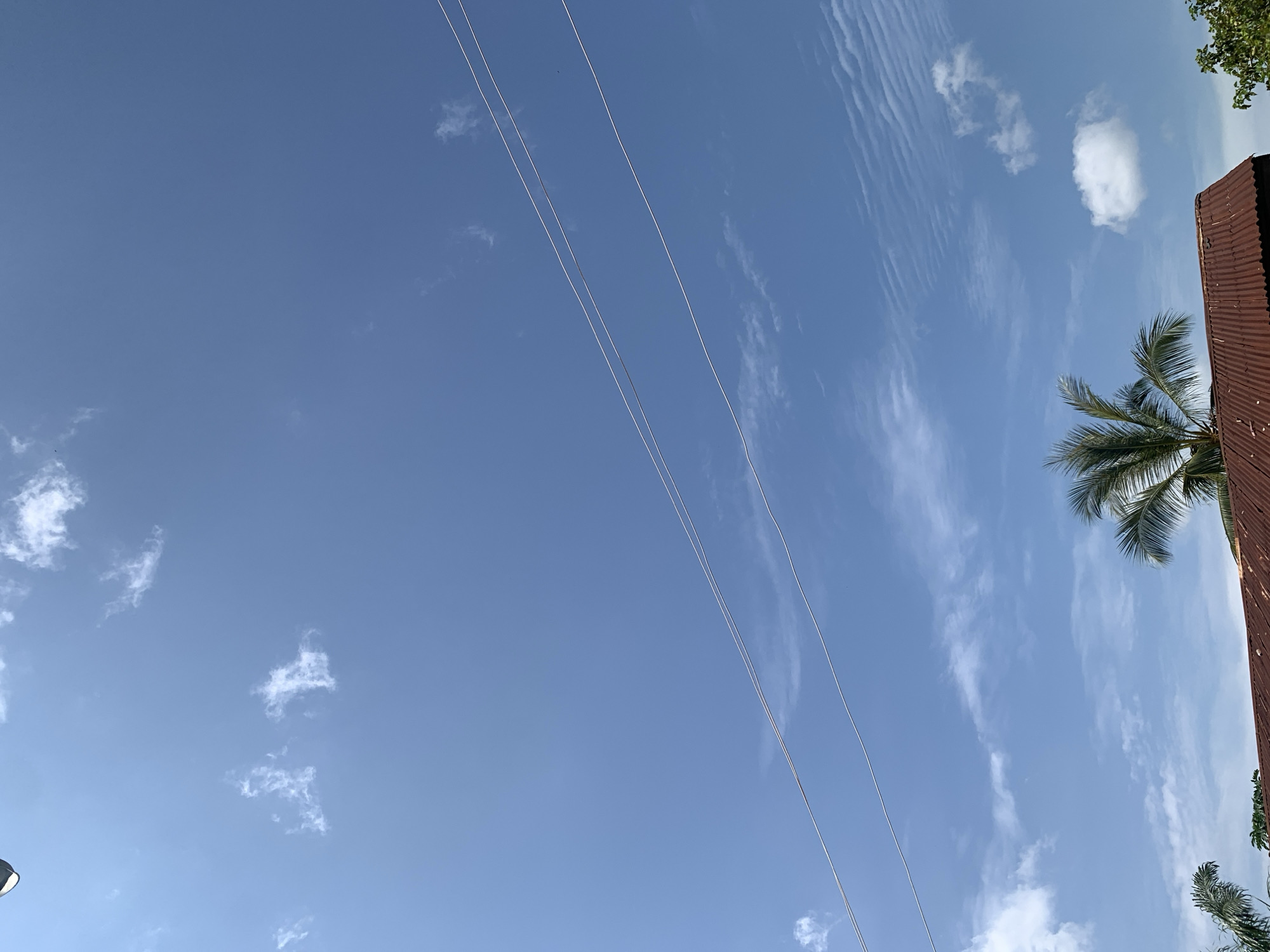 The image shows a bright blue sky with scattered white clouds. Two thin, light-colored wires run diagonally across the upper portion of the frame. Below the wires, the top of a rusty, corrugated metal roof is visible, with a portion of a palm tree's fronds extending above it on the left. On the right side of the image, the top of a green leafy tree is visible. The scene is likely an outdoor environment in Sabon Tasha, Nigeria, suggested by the presence of palm trees and the type of roofing material.