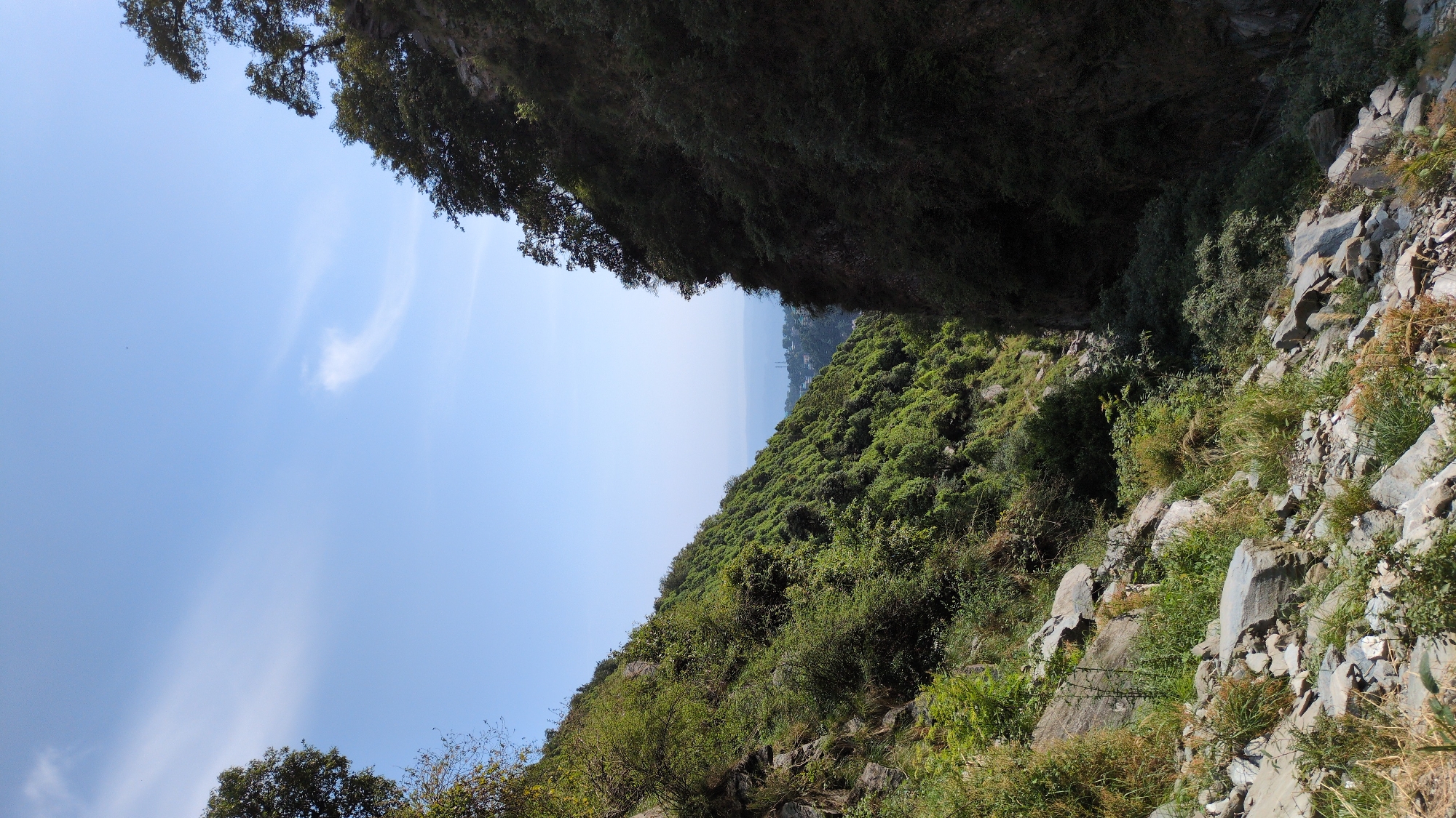 The image captures a view from a mountainous region in Bhagsu, India. The scene is defined by a steep, rocky hillside covered in lush green vegetation and interspersed with large boulders. A dense canopy of trees overhangs the right side of the frame. The sky is a pale blue with a sparse cloud formation. In the distance, there's a glimpse of the city, suggesting a vantage point overlooking the valley. The composition of the image gives the impression of looking up from a low angle.